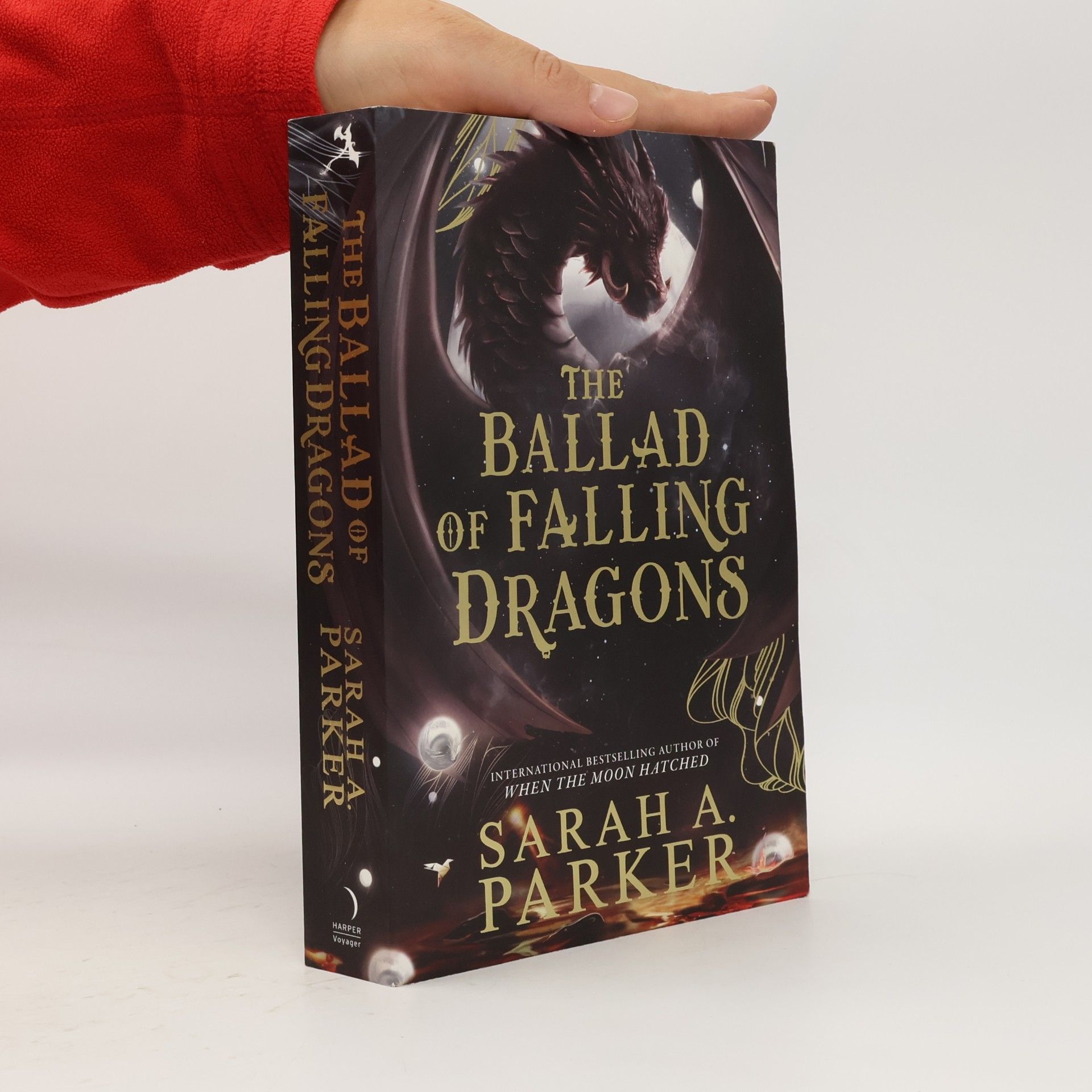 The Ballad of Falling Dragons