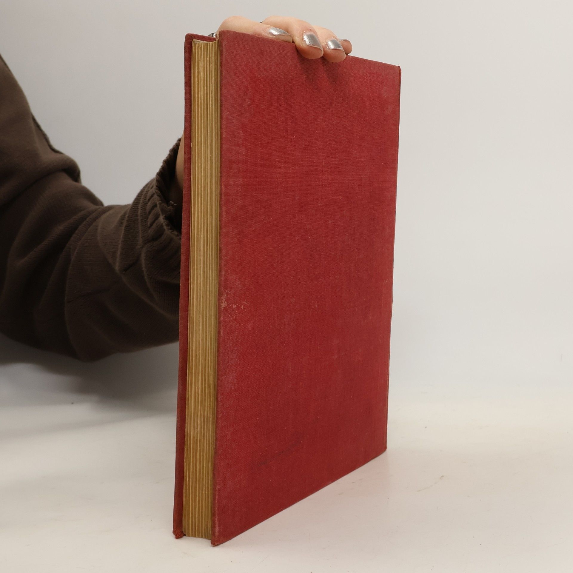 Hans Ostwald Sittengeschichte der Inflation