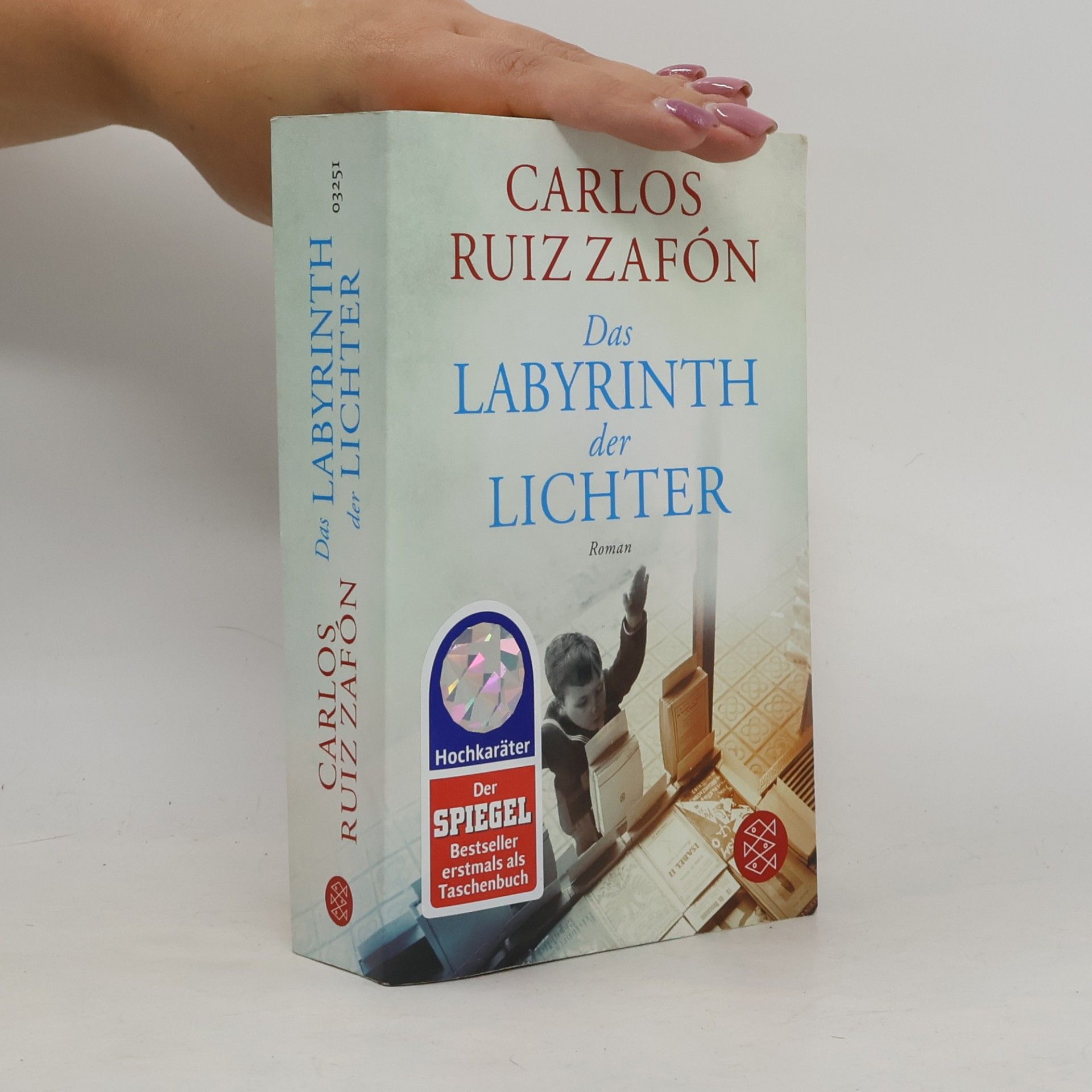 Carlos Ruiz Zafón Das Labyrinth der Lichter