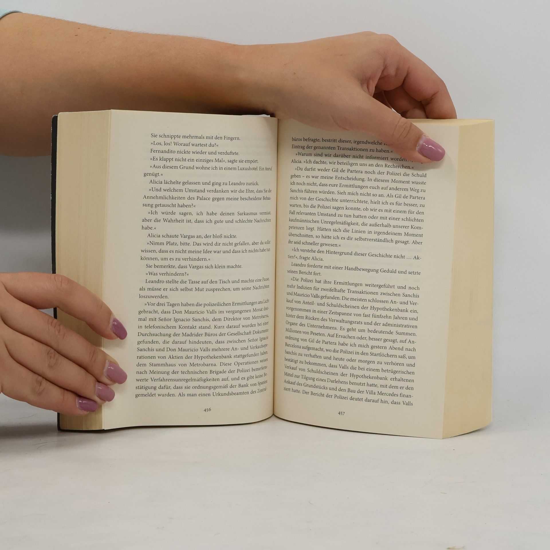 Carlos Ruiz Zafón Das Labyrinth der Lichter
