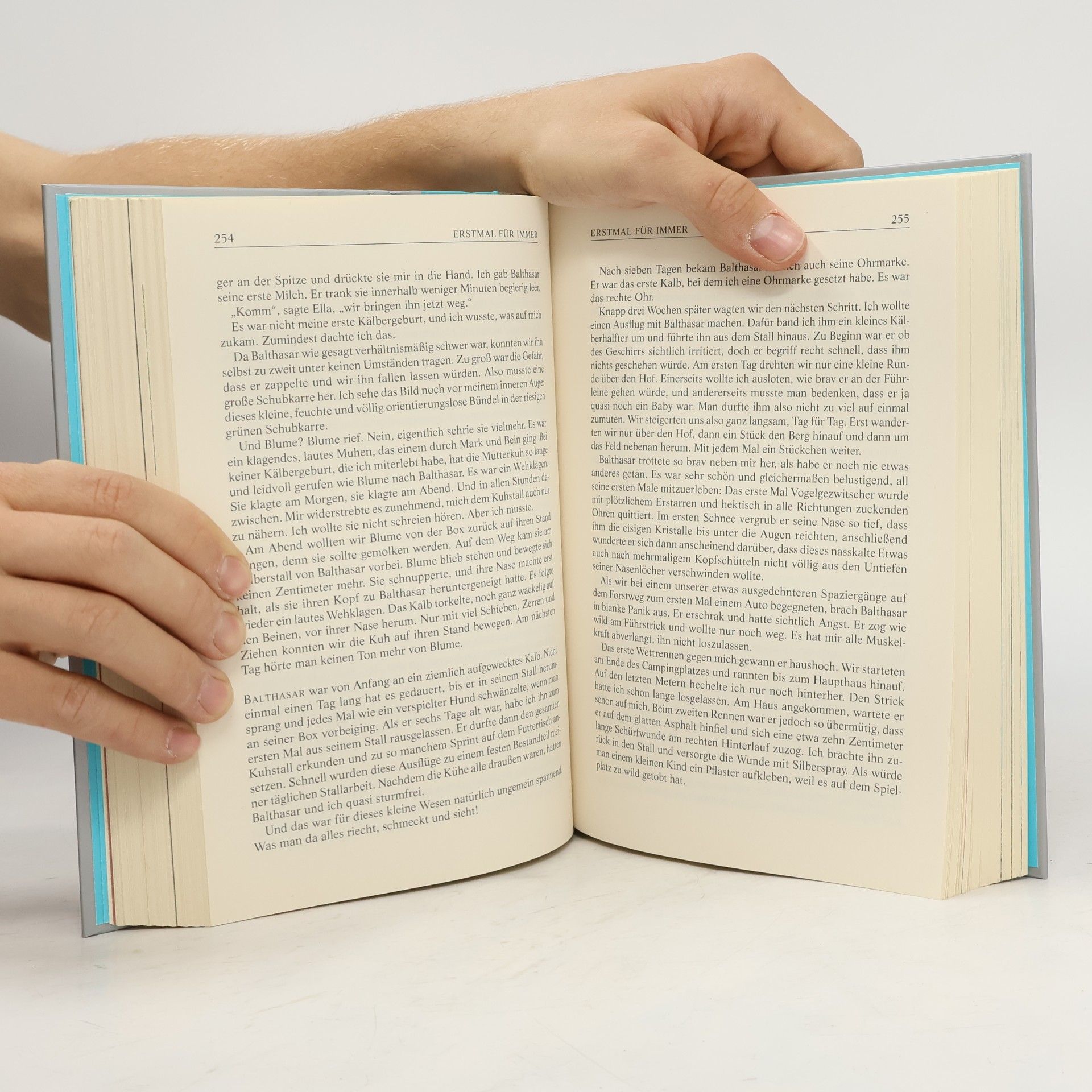 Various authors Wendepunkte. Erstmal für immer. Eine muss die Erste sein. Irgendwann ist irgendwann zu spät