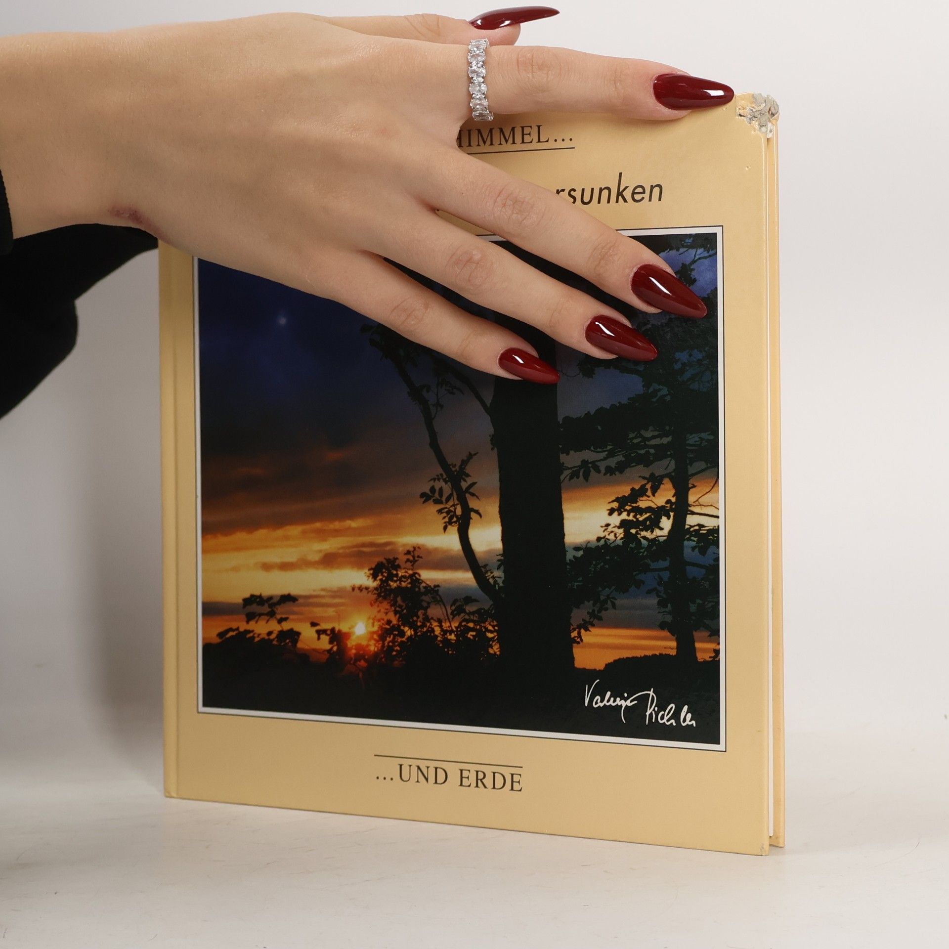 Various authors In Gedanken bin ich versunken