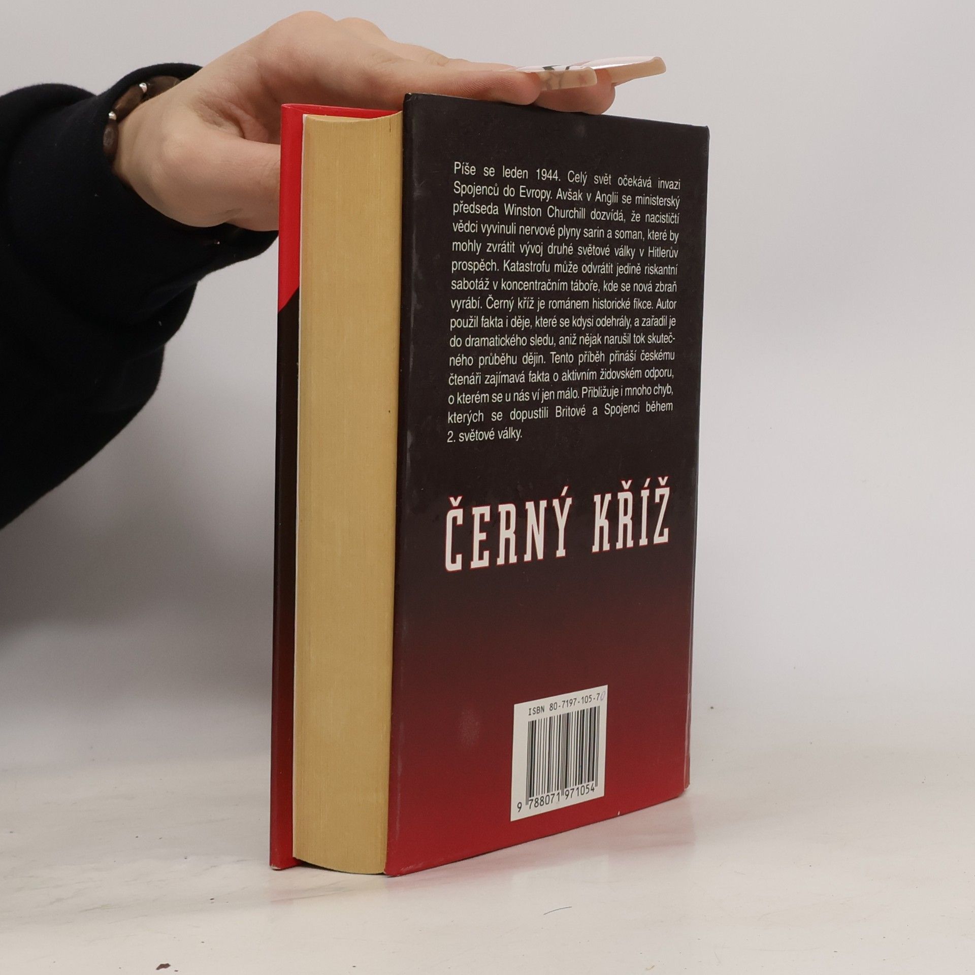 Greg Iles Černý kříž