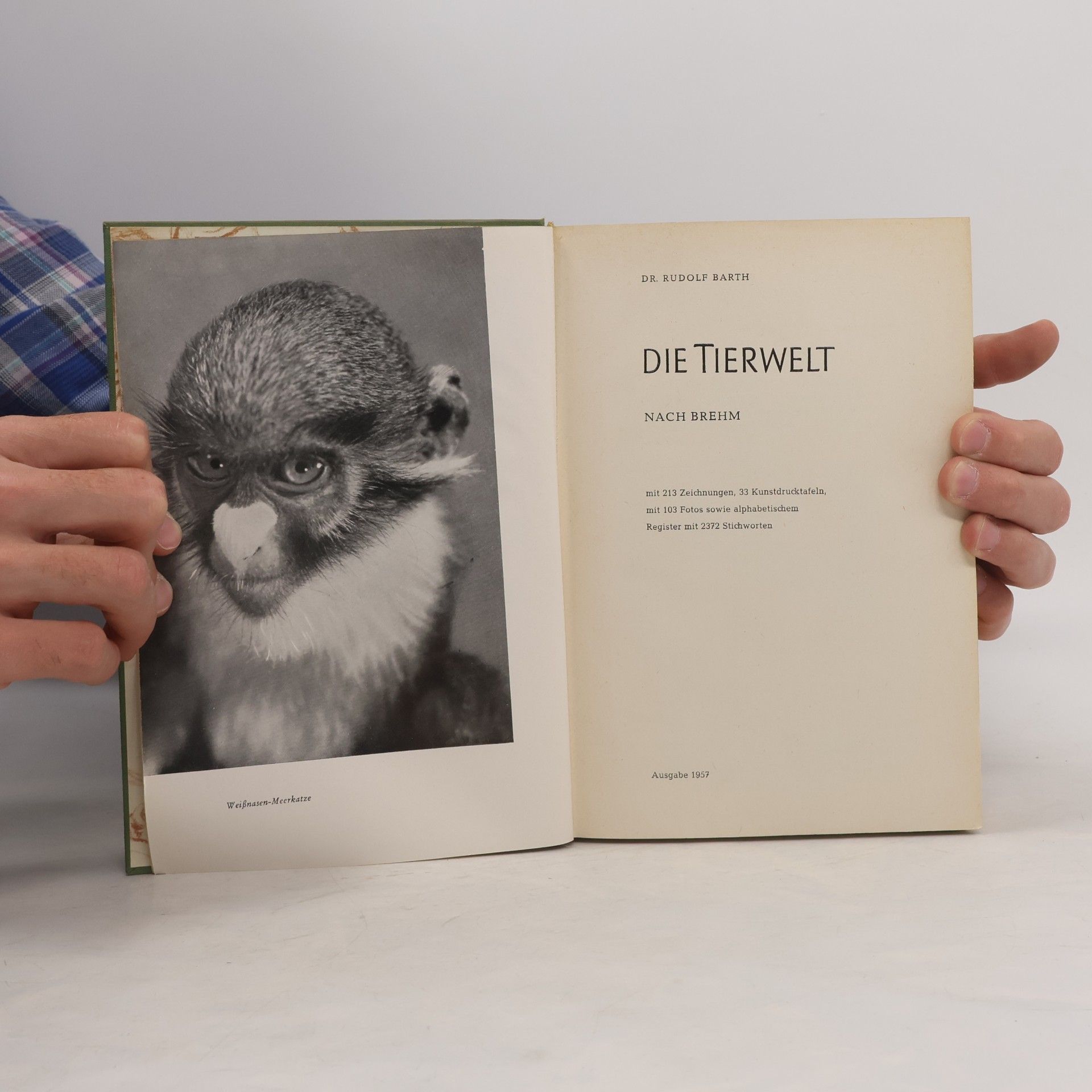 Rudolf Barth Die Tierwelt nach Brehm