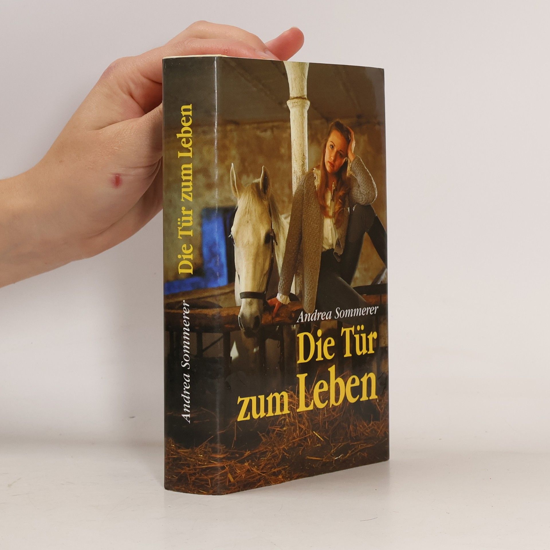 Andrea Sommerer Die Tür zum Leben