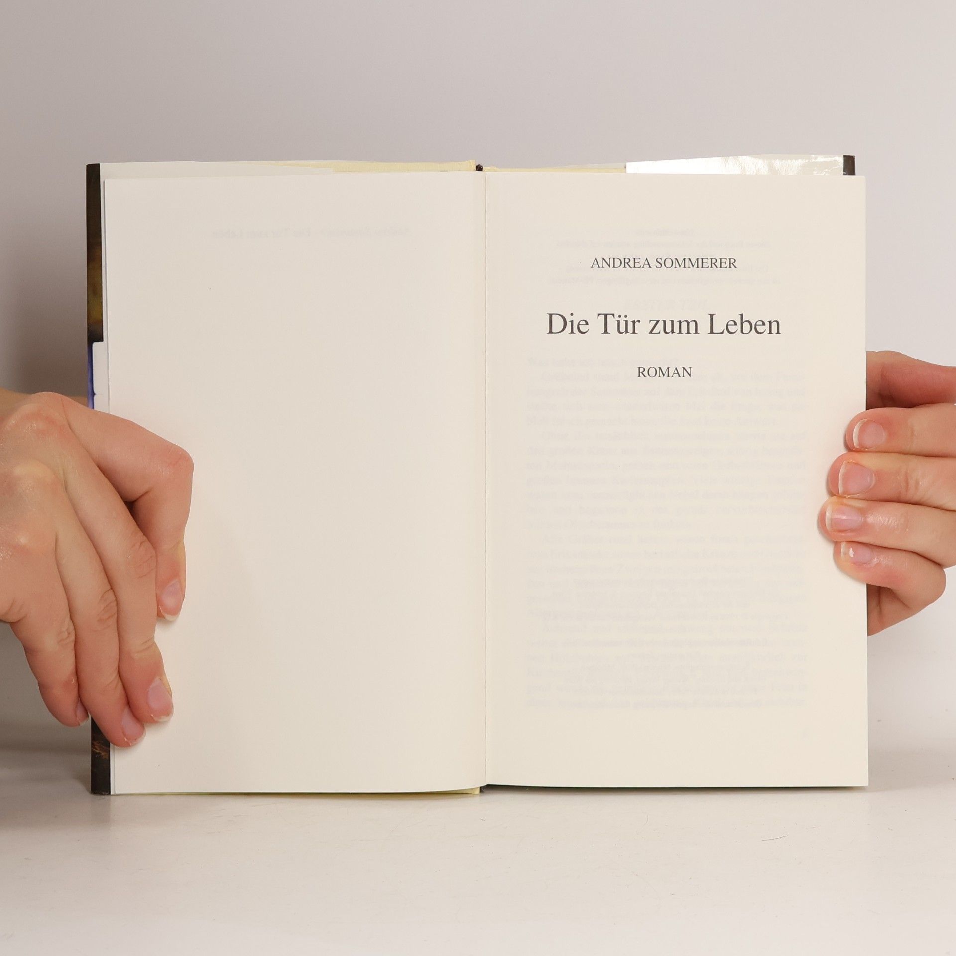 Andrea Sommerer Die Tür zum Leben