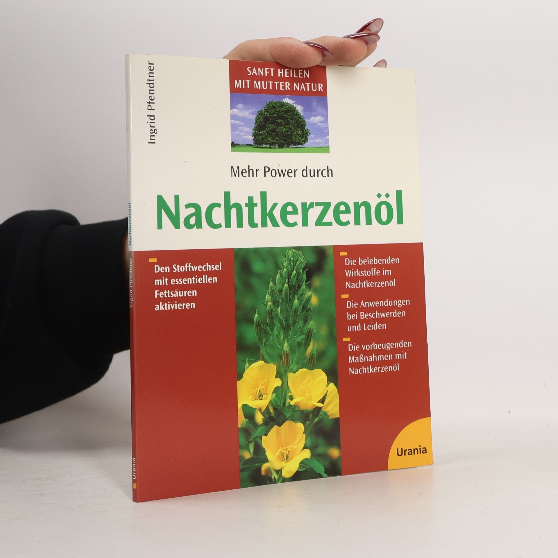 Mehr Power durch Nachtkerzenöl