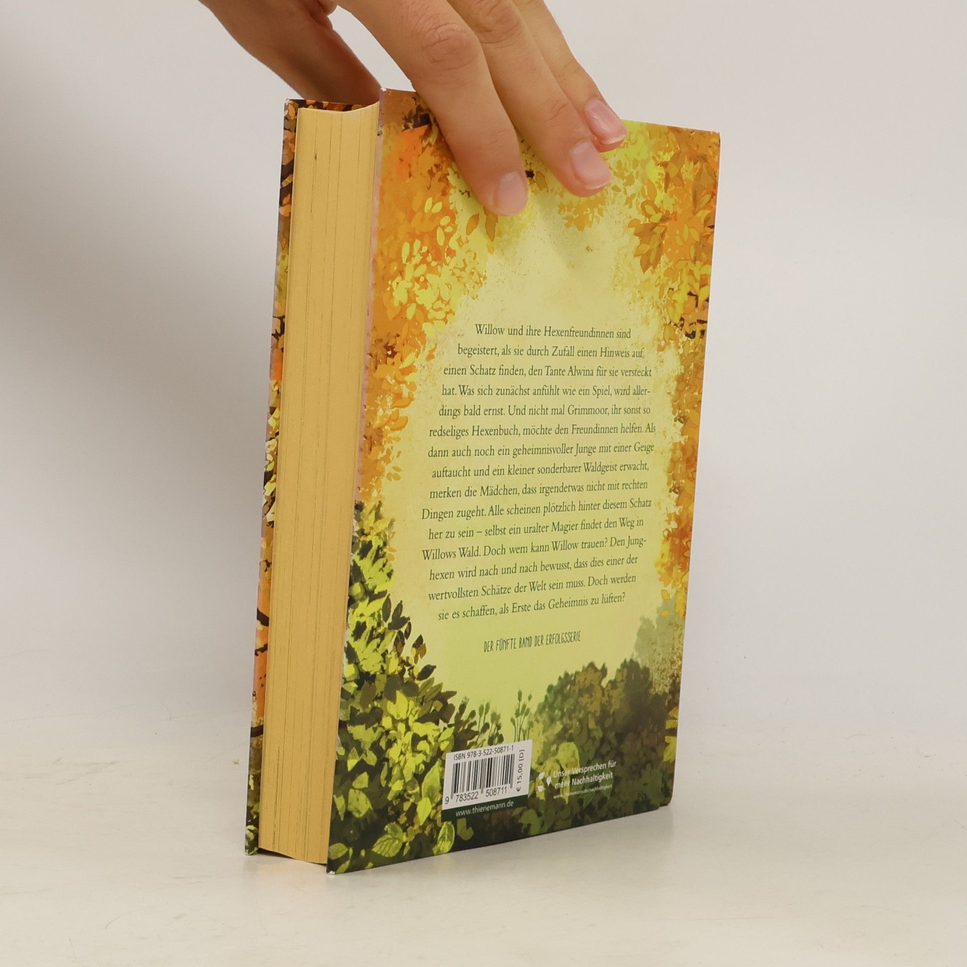 Sabine Bohlmann Schattenzeit / Ein Mädchen namens Willow Bd.5
