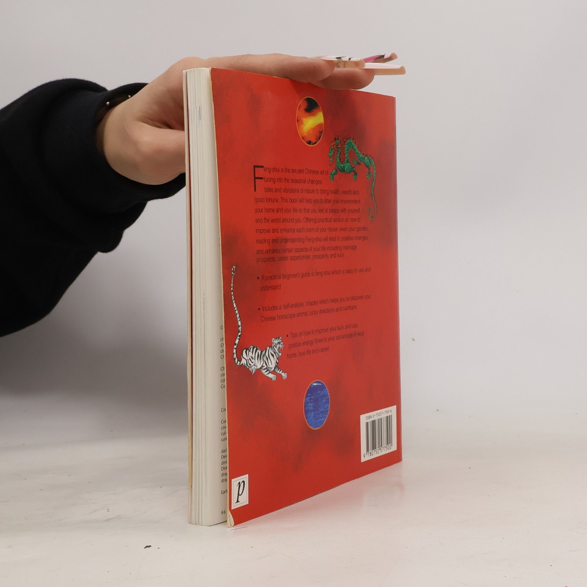 Stephen Skinner Feng Shui