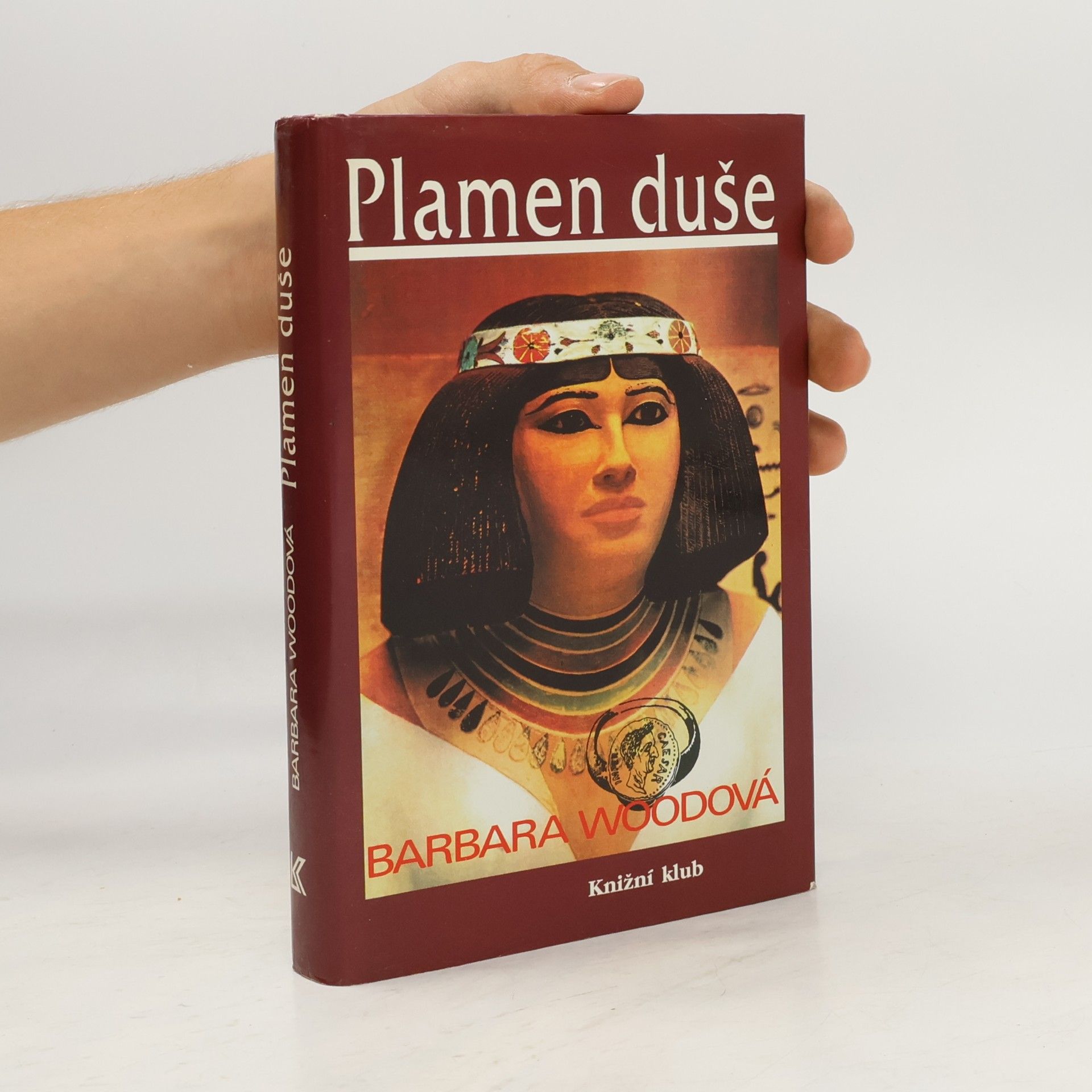 Barbara Wood Plamen duše