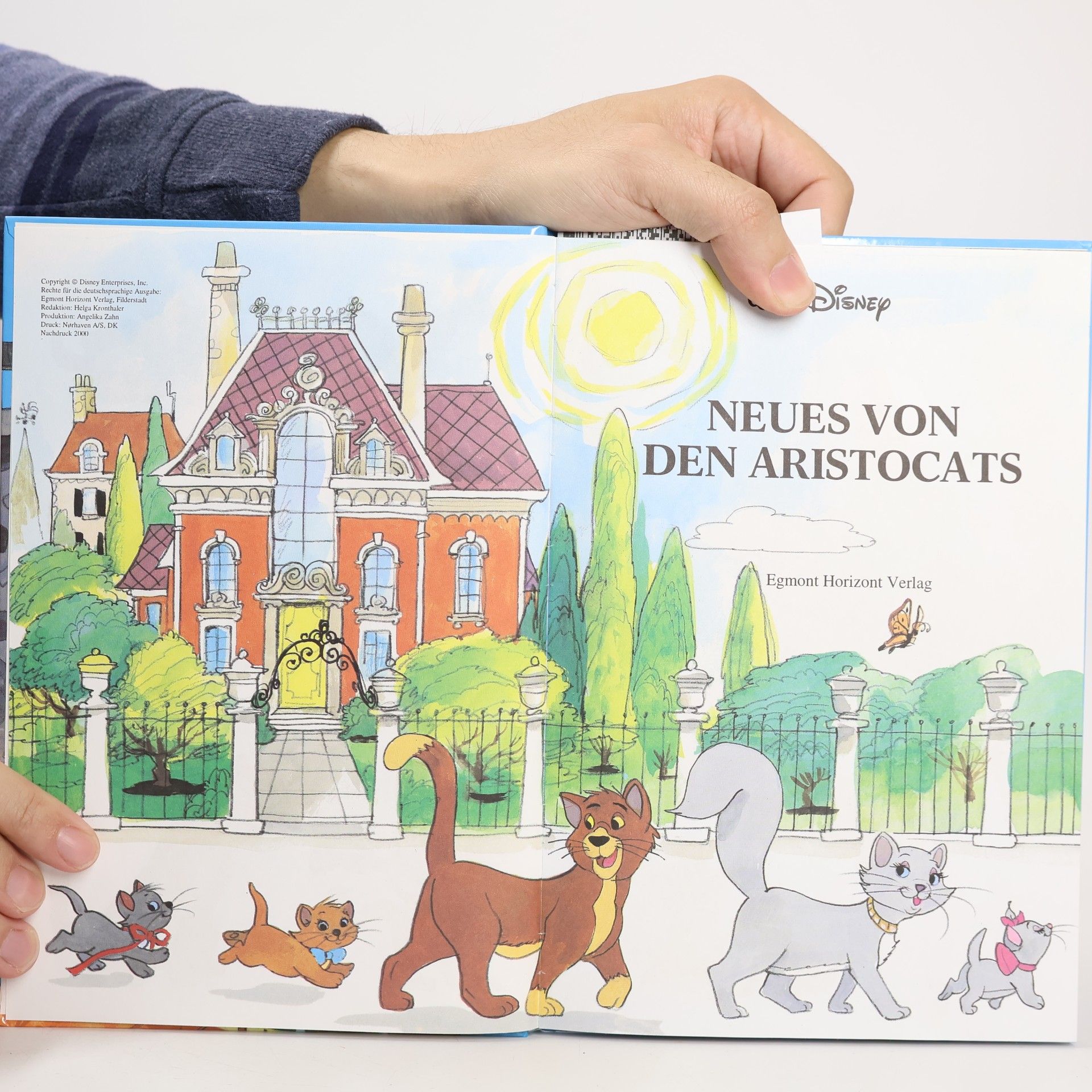 Autorenkollektiv Neues von den Aristocats