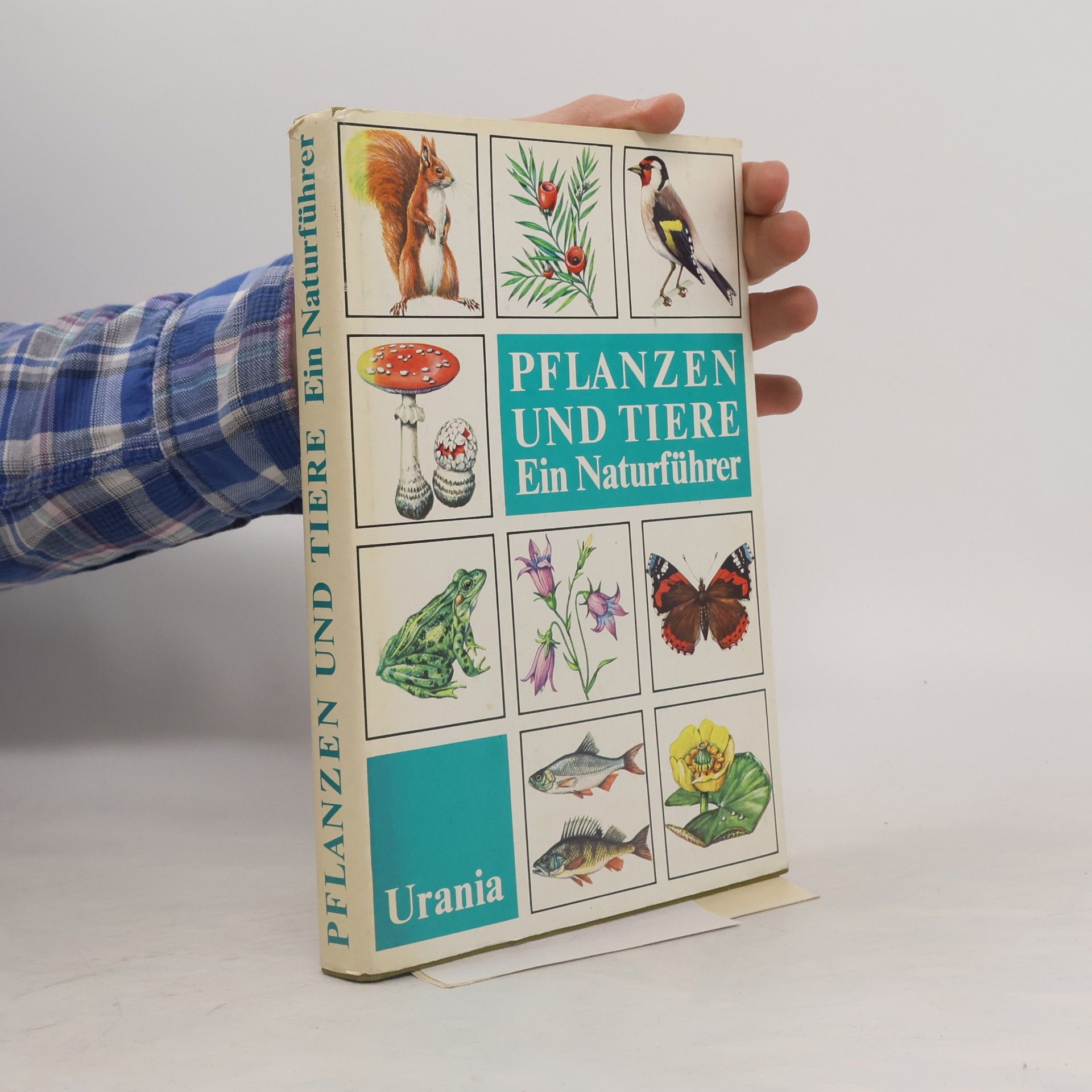 kolektiv Pflanzen und Tiere. Ein Naturführer
