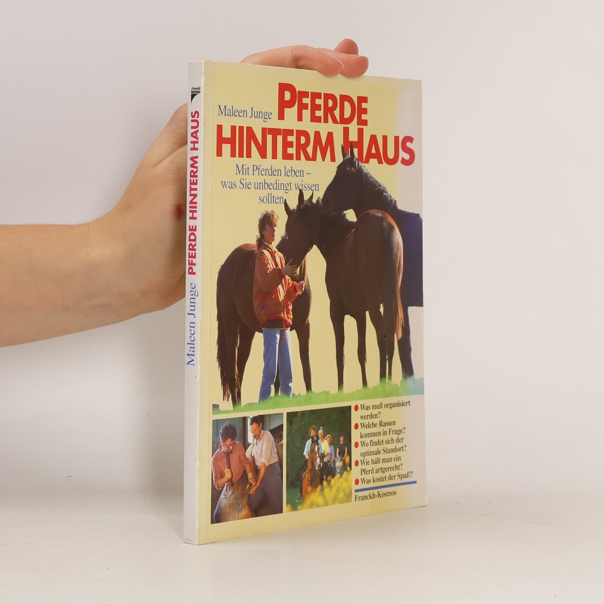 Maleen Junge Pferde hinterm Haus