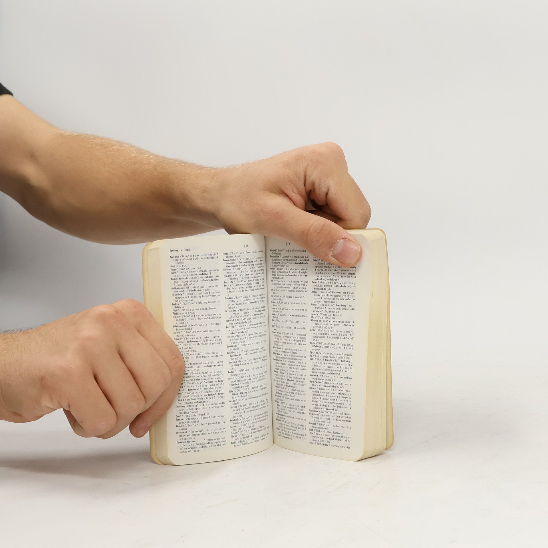 Merriam-Webster Webster's Vest Pocket Dictionary