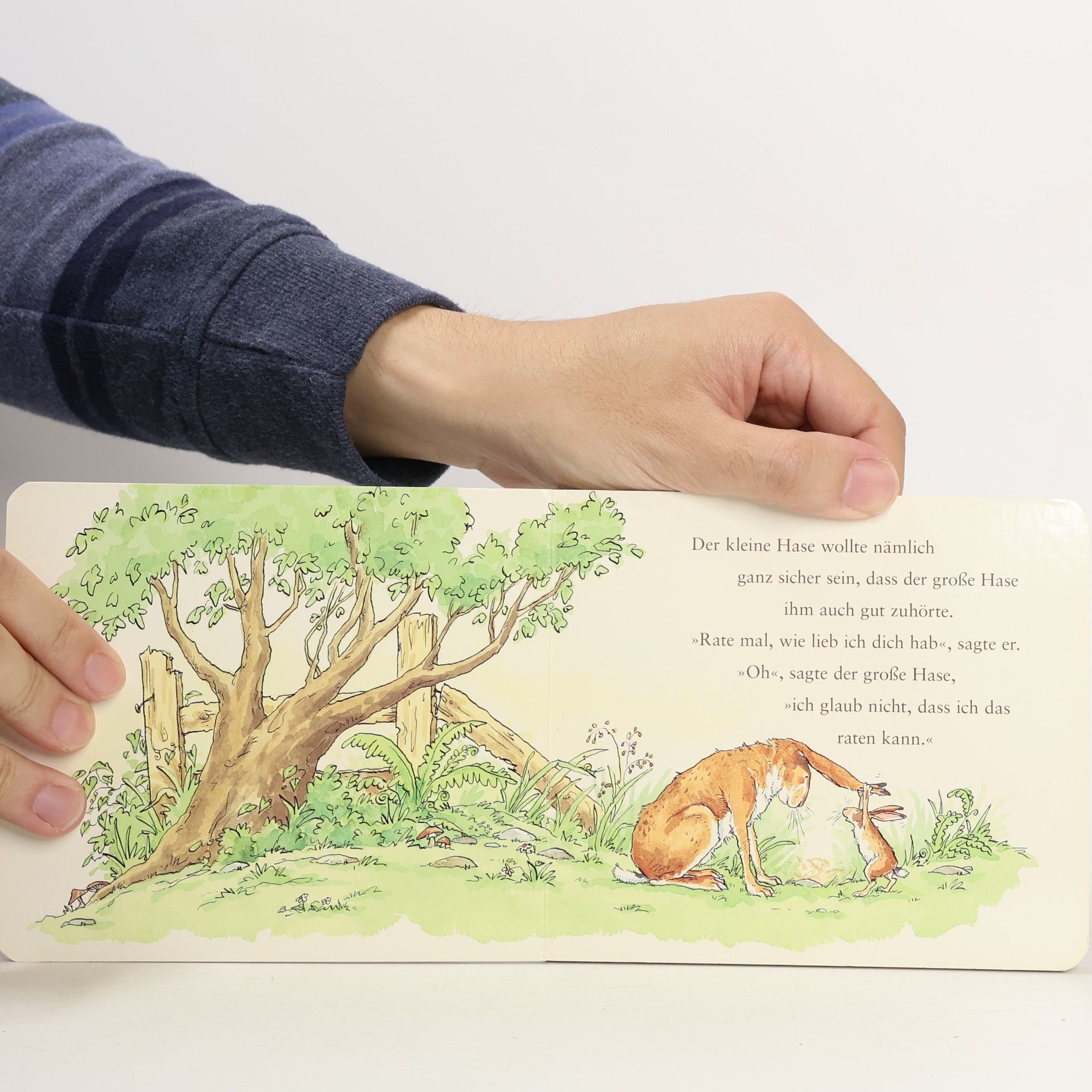 Anita Jeram Weisst du eigentlich, wie lieb ich dich hab?