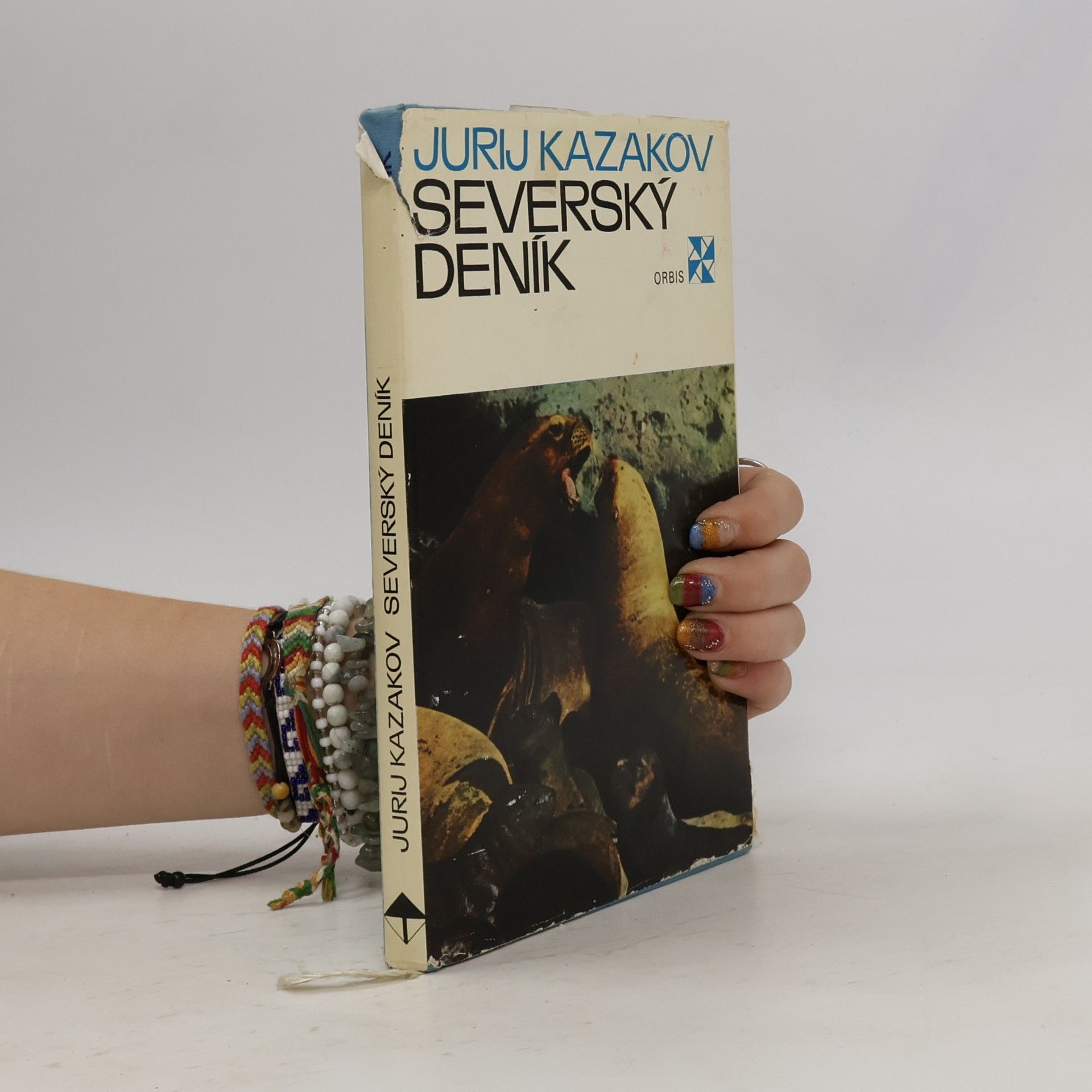 Severský deník