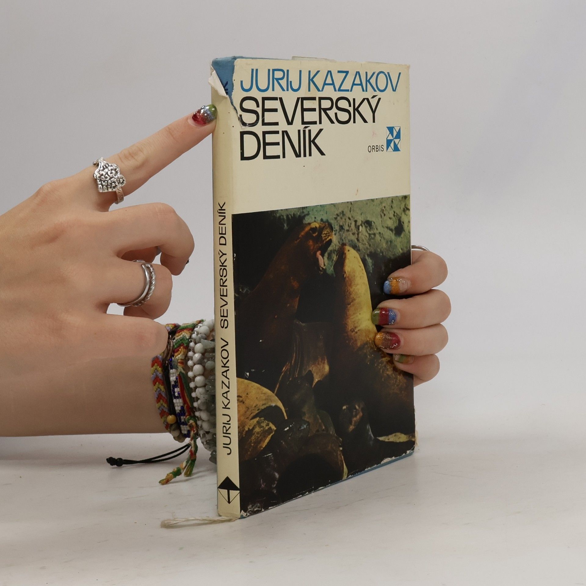 Jurij Pavlovič Kazakov Severský deník