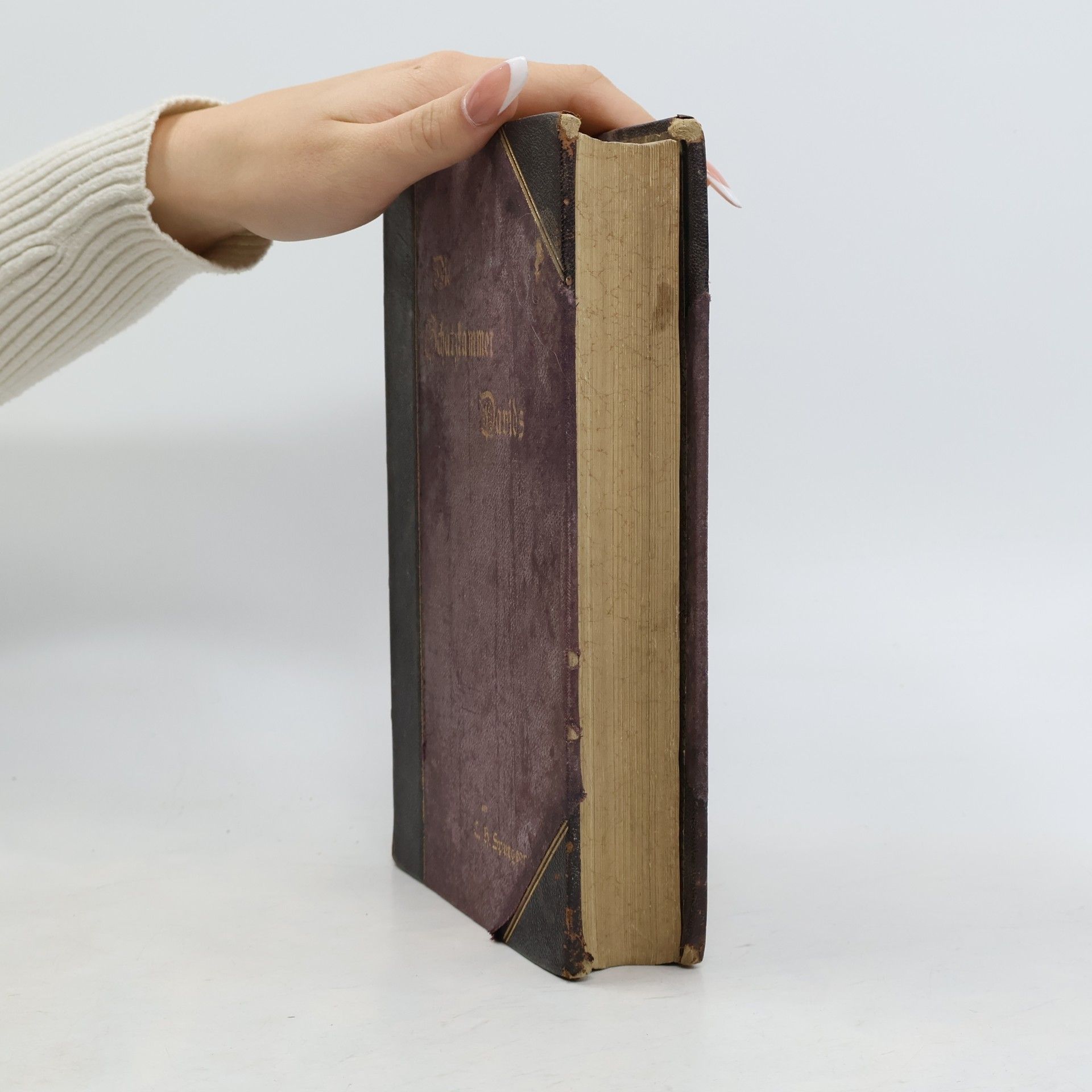 Charles Spurgeon Die Schatzkammer Davids