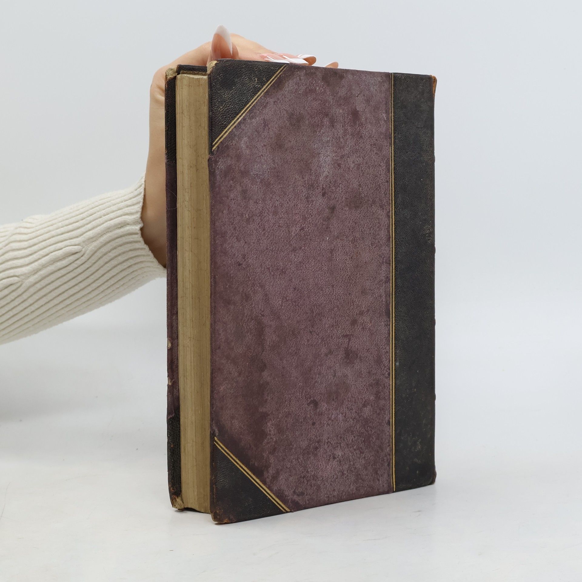 Charles Spurgeon Die Schatzkammer Davids