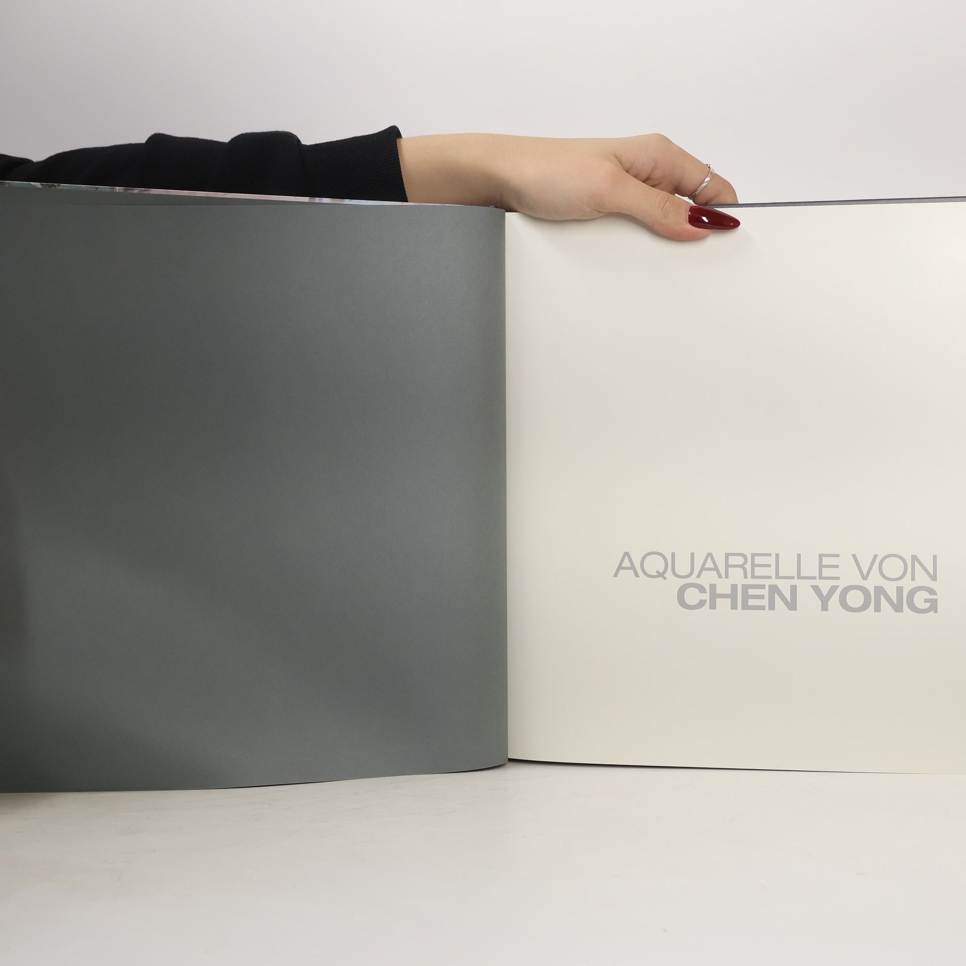 Chen Yong Aquarelle von Chen Yong