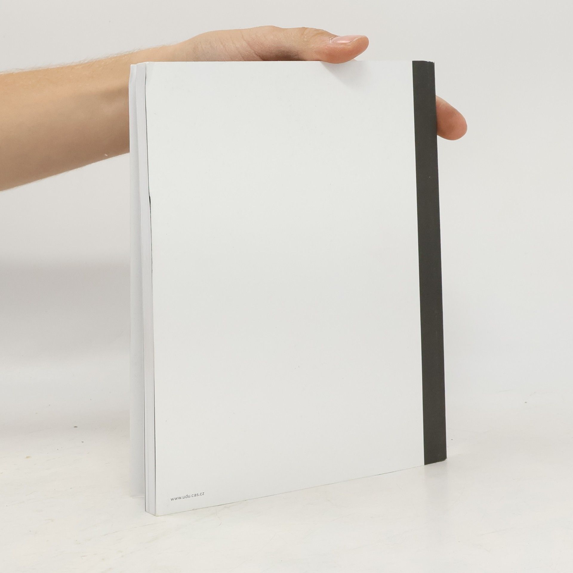 kolektiv Institute of Art History CAS Annual Report 2023