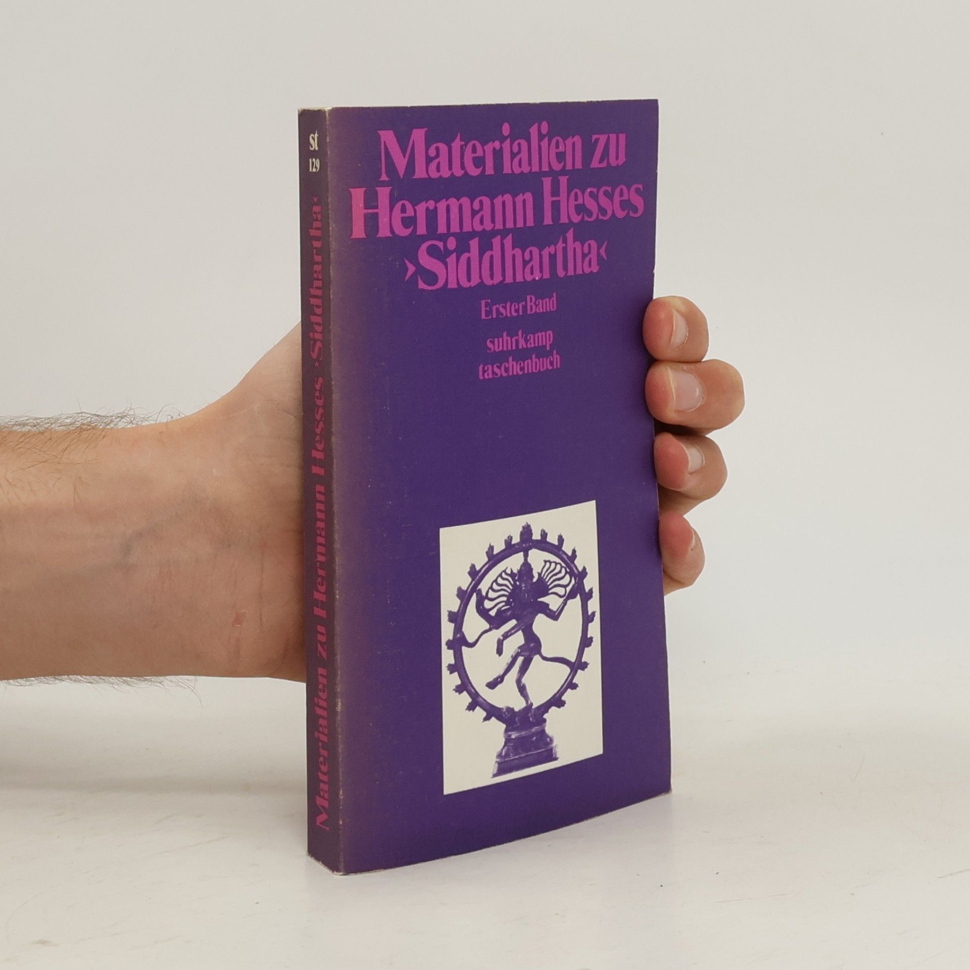 kolektiv Materialien zu Hermann Hesses. Siddhartha