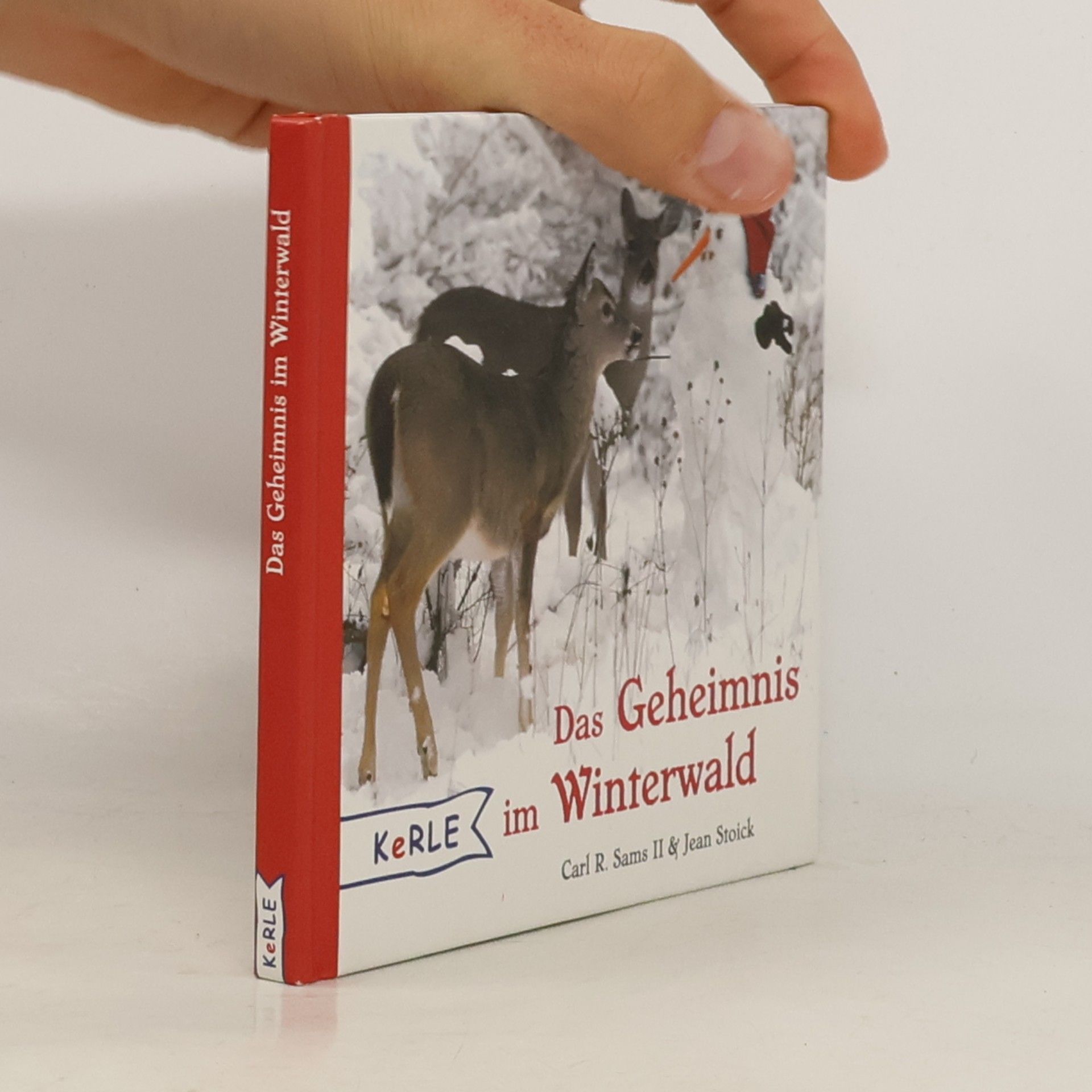 Carl R. Sams II Das Geheimnis im Winterwald
