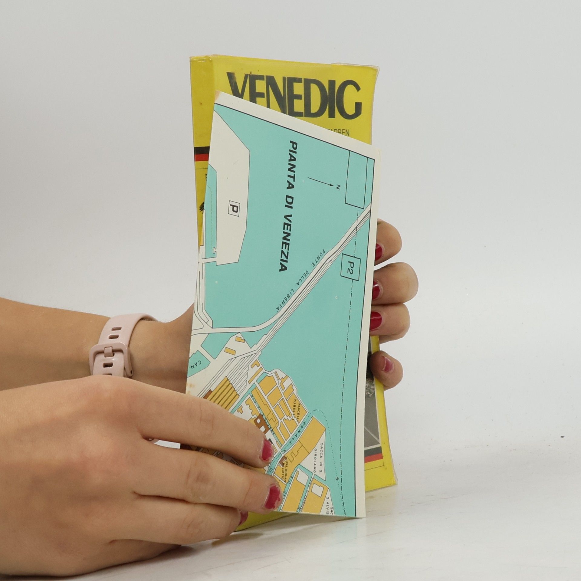 kolektiv Venedig