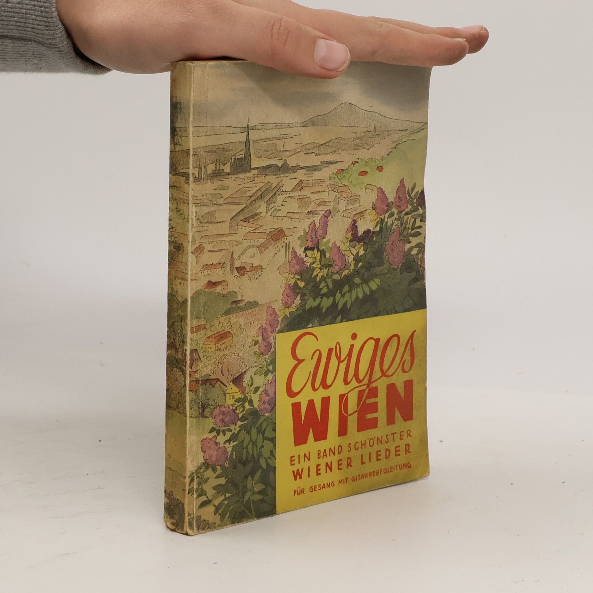 Karl Mikulas Ewiges Wien