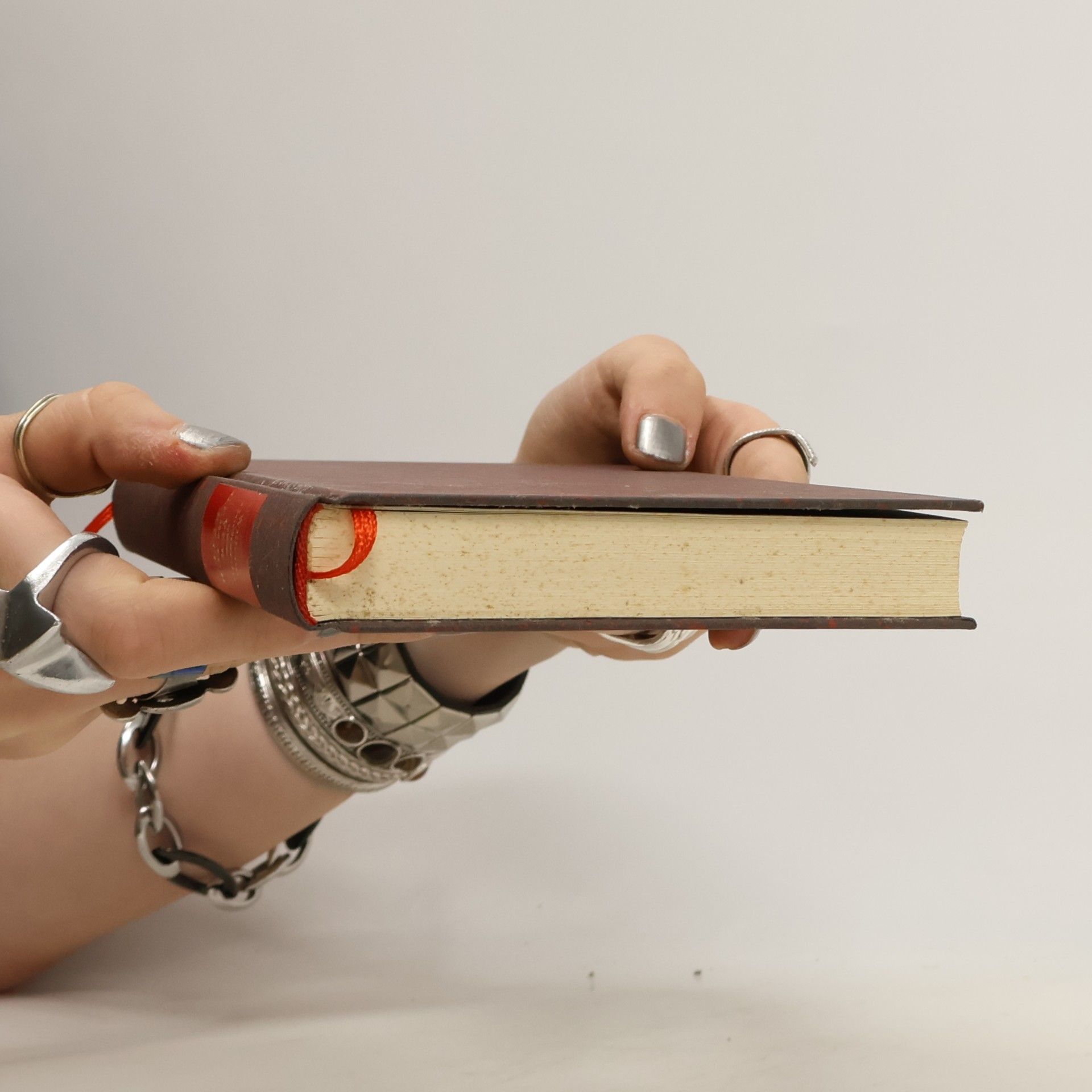 Hans Magnus Enzensberger Die Andere Bibliothek: Vergeblichkeit