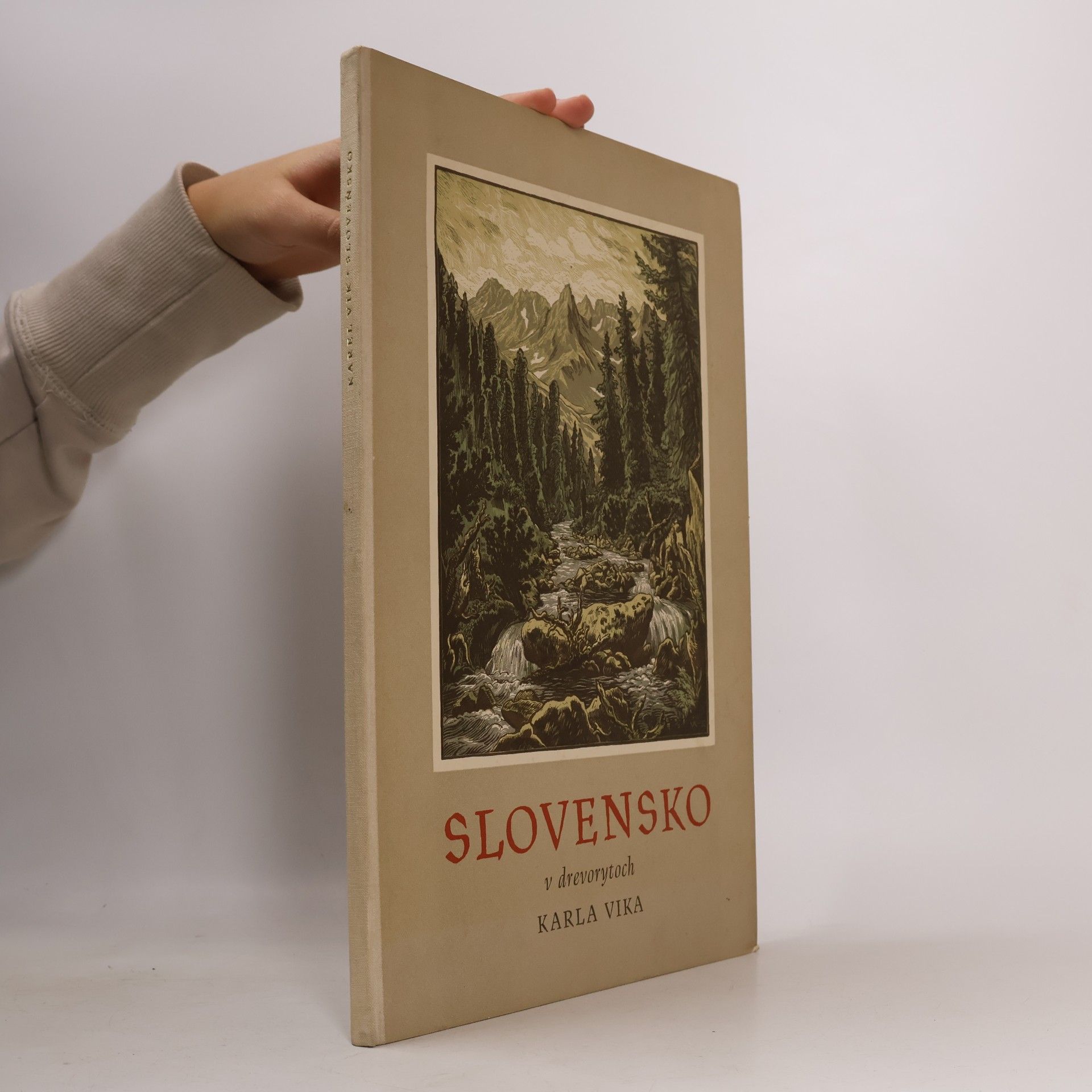 Slovensko v drevorytoch Karla Vika