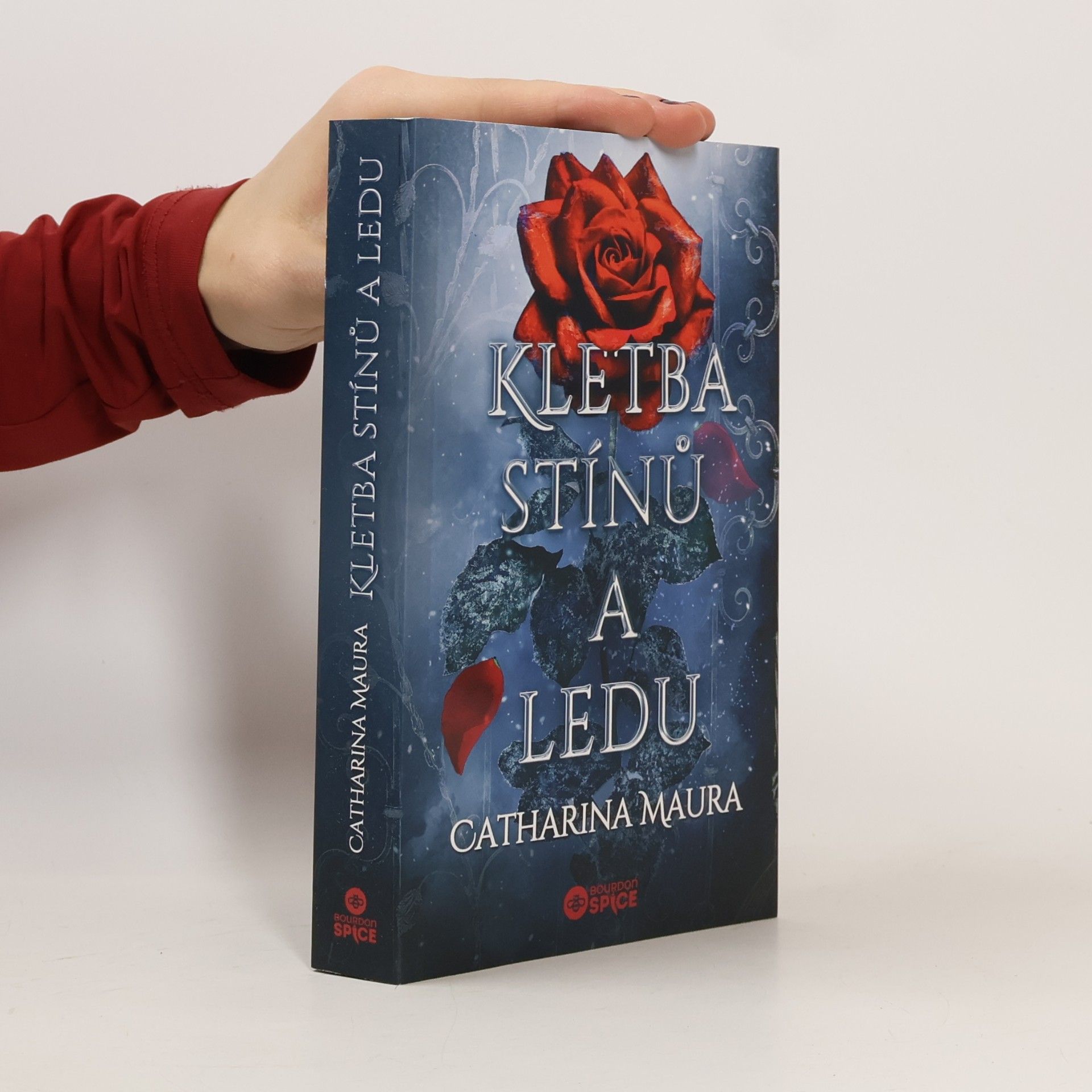 Kletba stínů a ledu