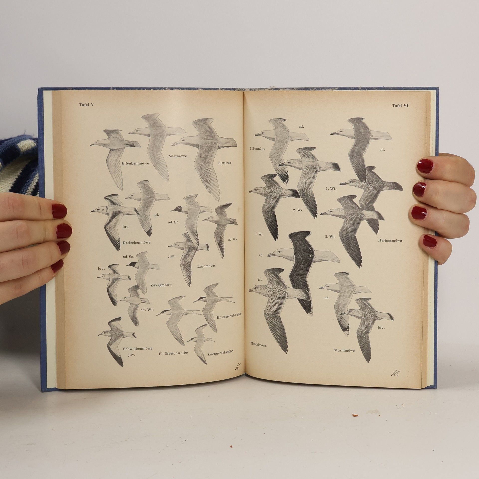 Autores varios Was fliegt denn da?