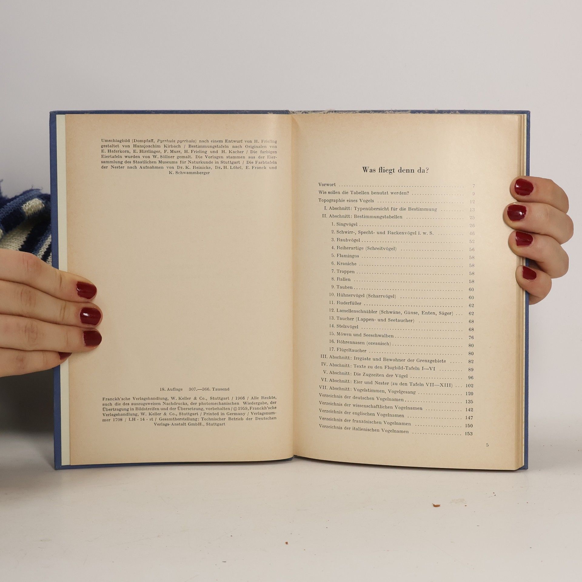 Autores varios Was fliegt denn da?