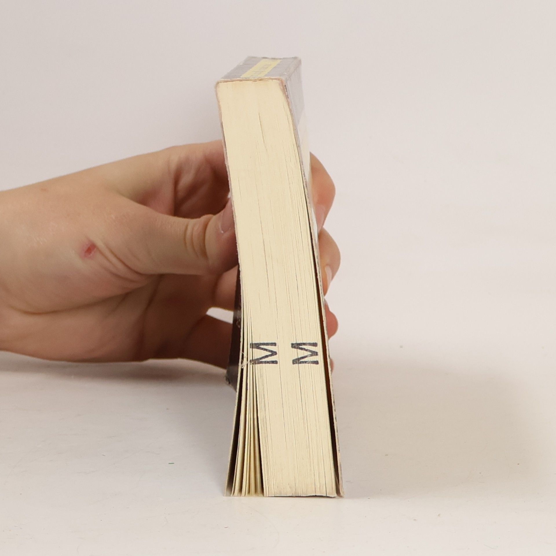 Margery Allingham Die Handschuhe des Franzosen