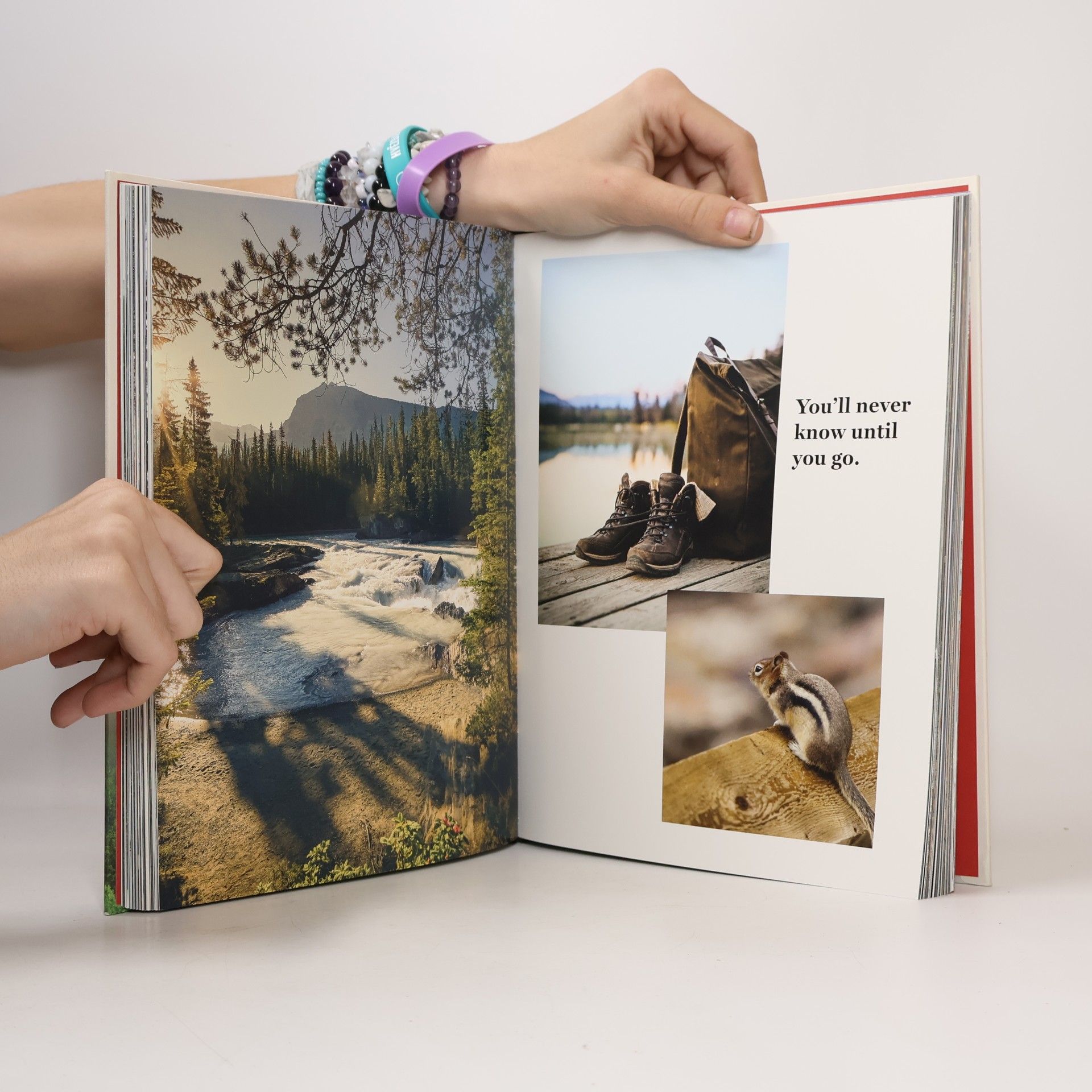 Lisa Nieschlag Taste the wild