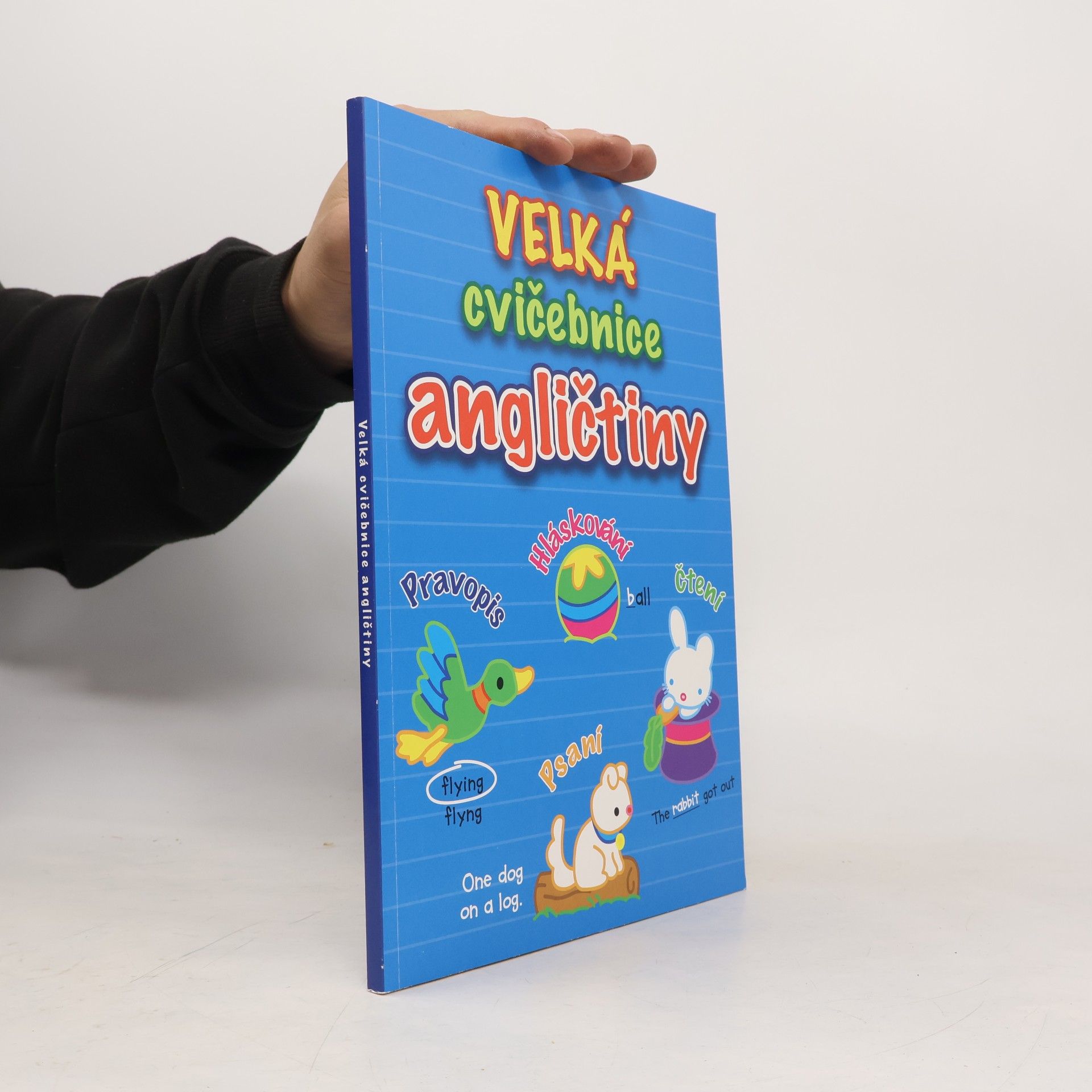 Kolektiv autorů Velká cvičebnice angličtiny