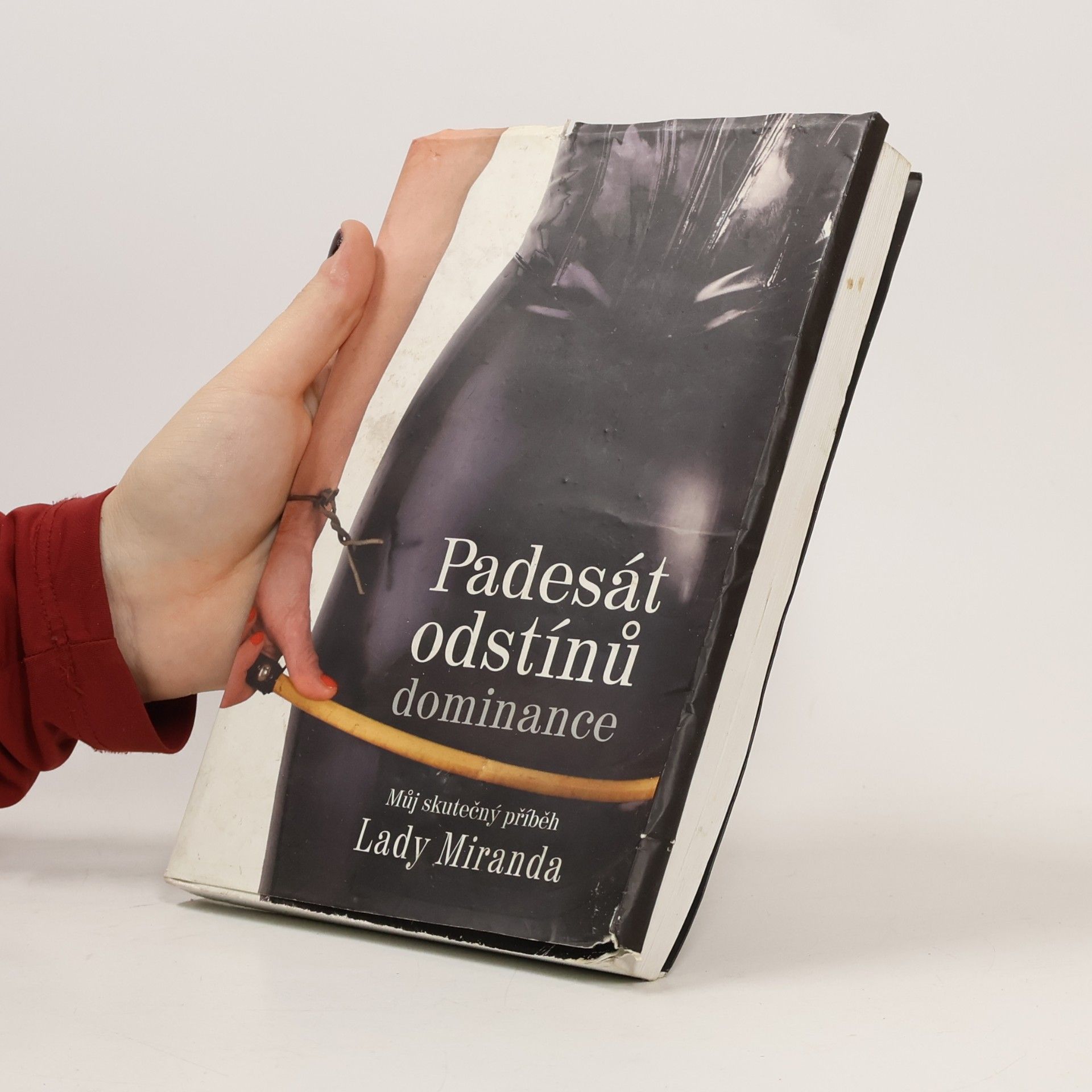 Dagmar Brejlová Padesát odstínů dominance : můj skutečný příběh