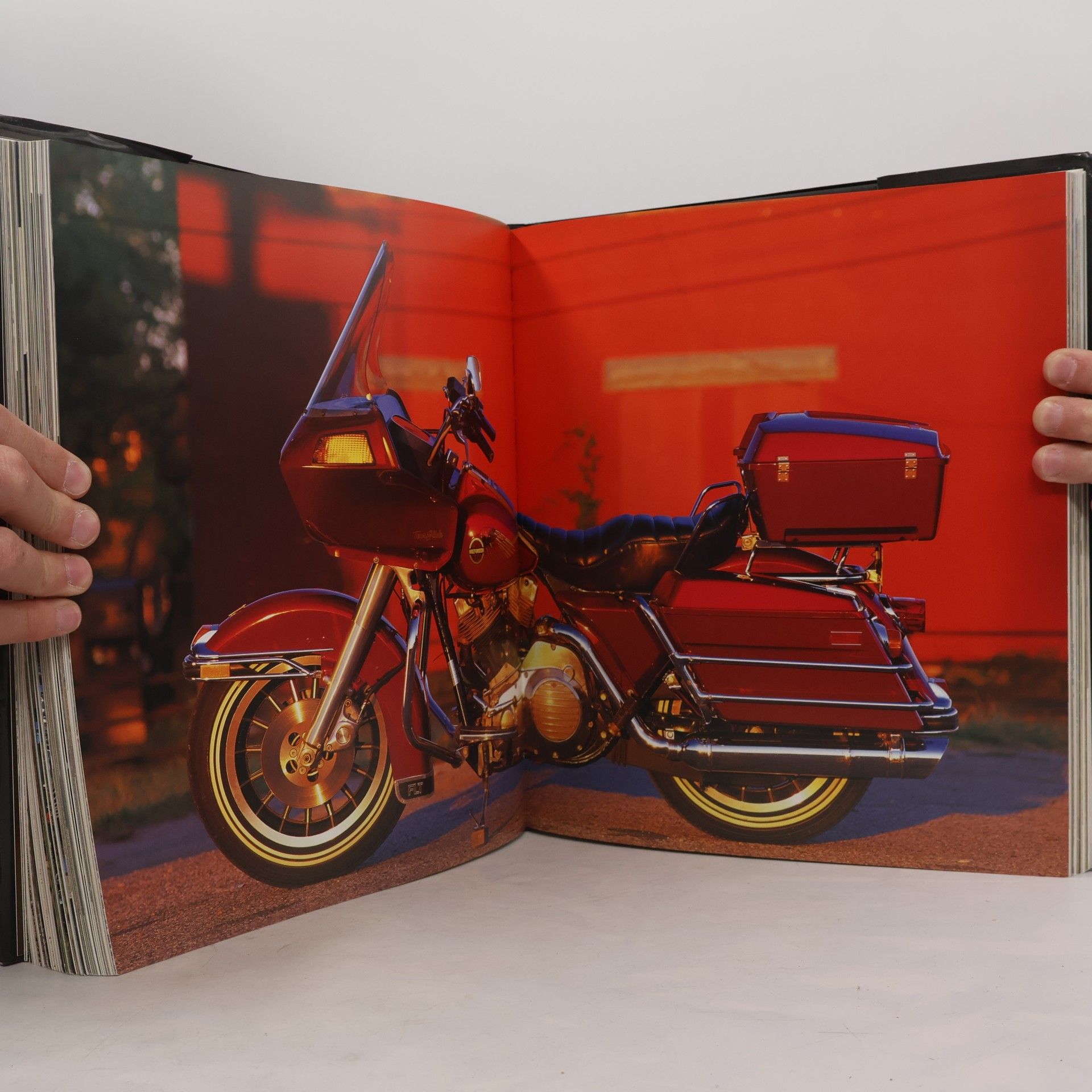 Darwin Holmstrom Das Harley-Davidson-Jahrhundert