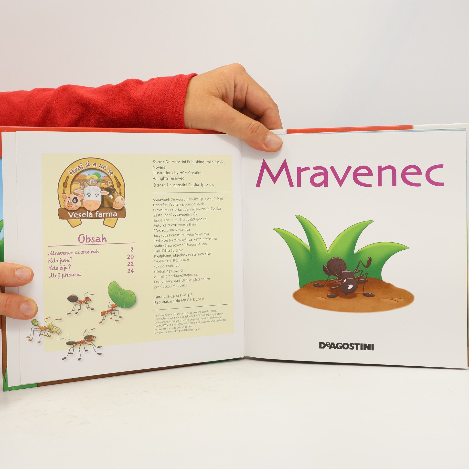 Autorenkollektiv Na polích a lukách. Mravenec. 69