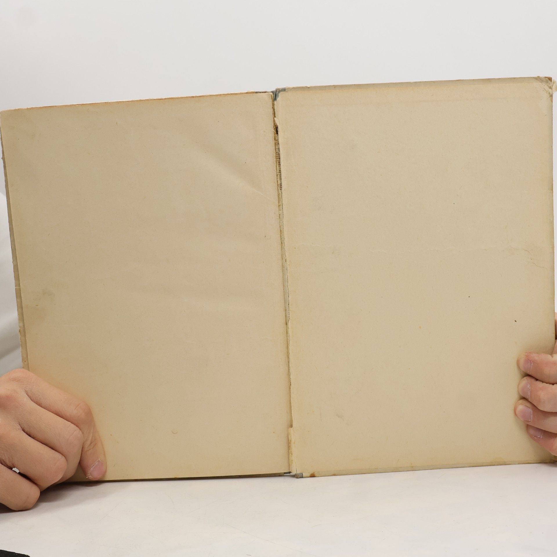 Anton Pavlovič Čechov Gaštanko