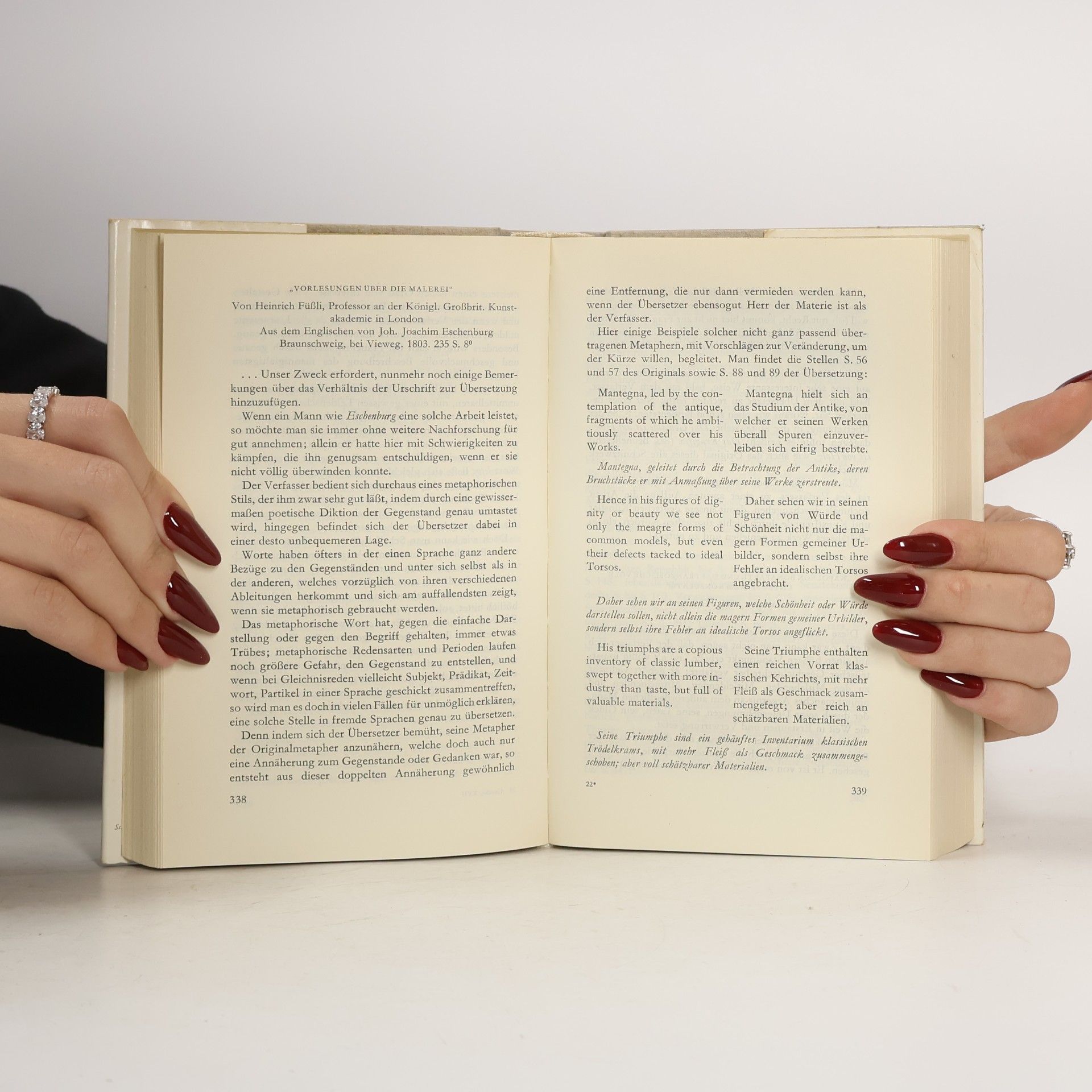 Goethe Schriften zur Literatur I