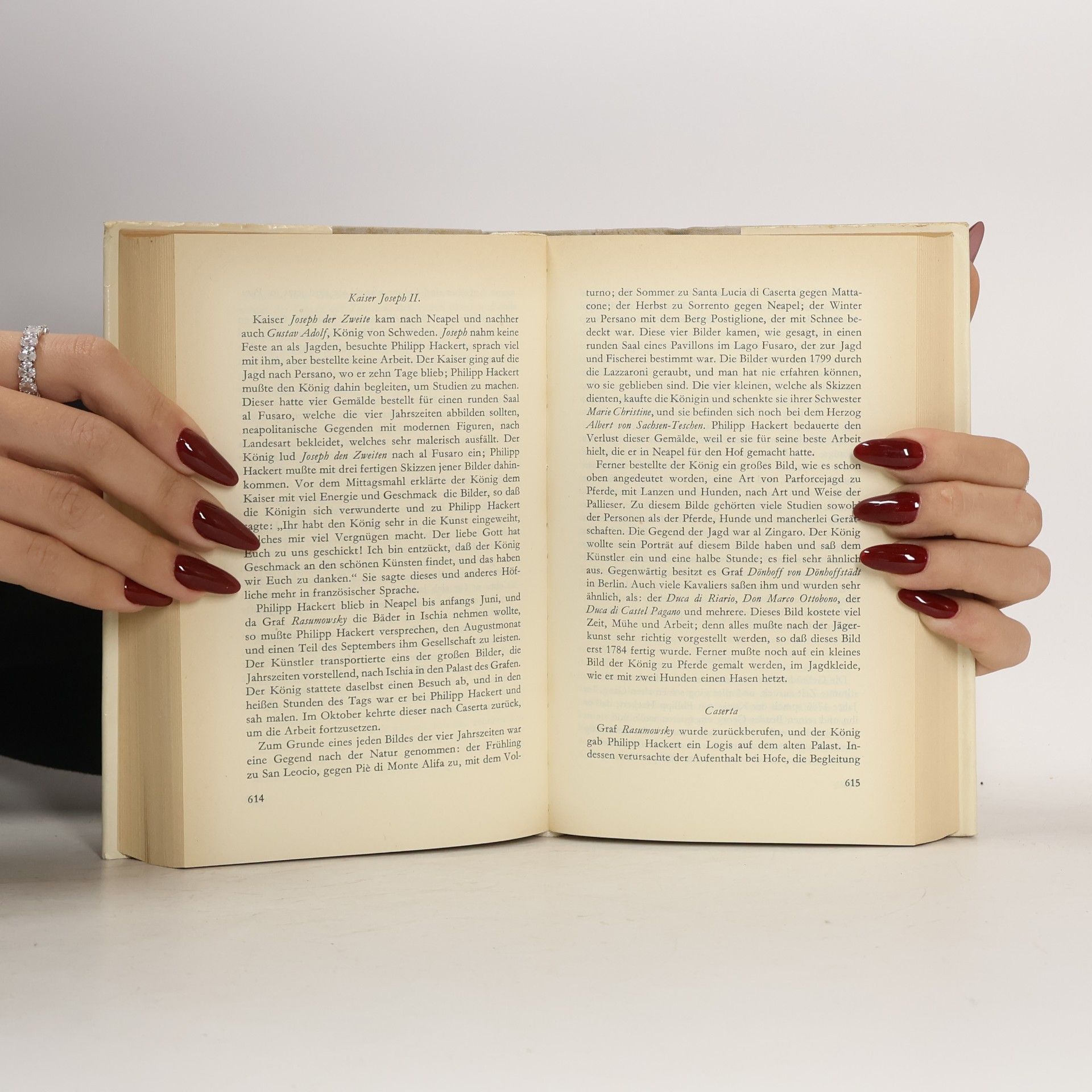 Goethe Schriften zur bildenden Kunst I