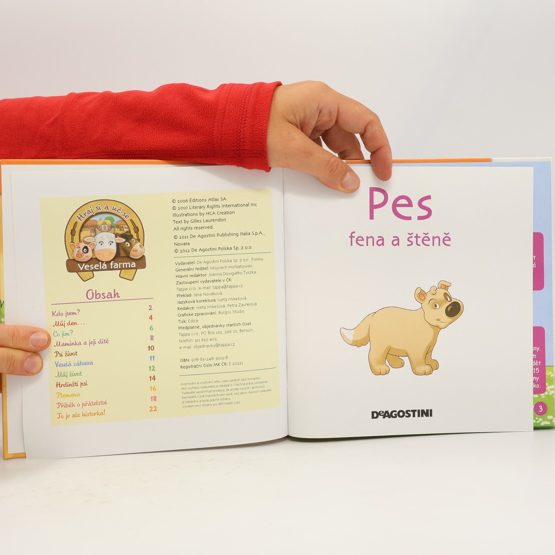 Various authors Na dvorku 6. Pes