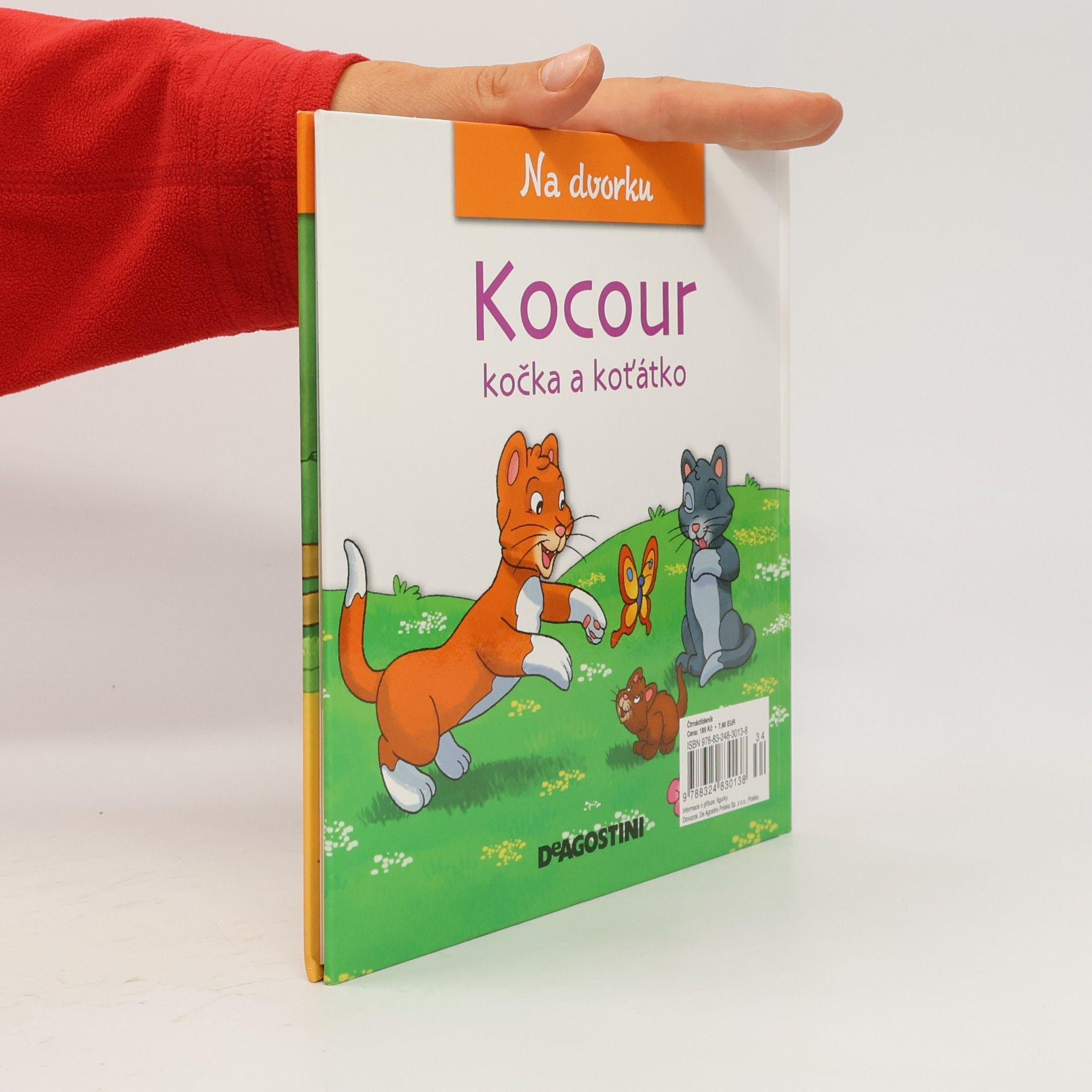 Autorenkollektiv Na dvorku 14. Kocour