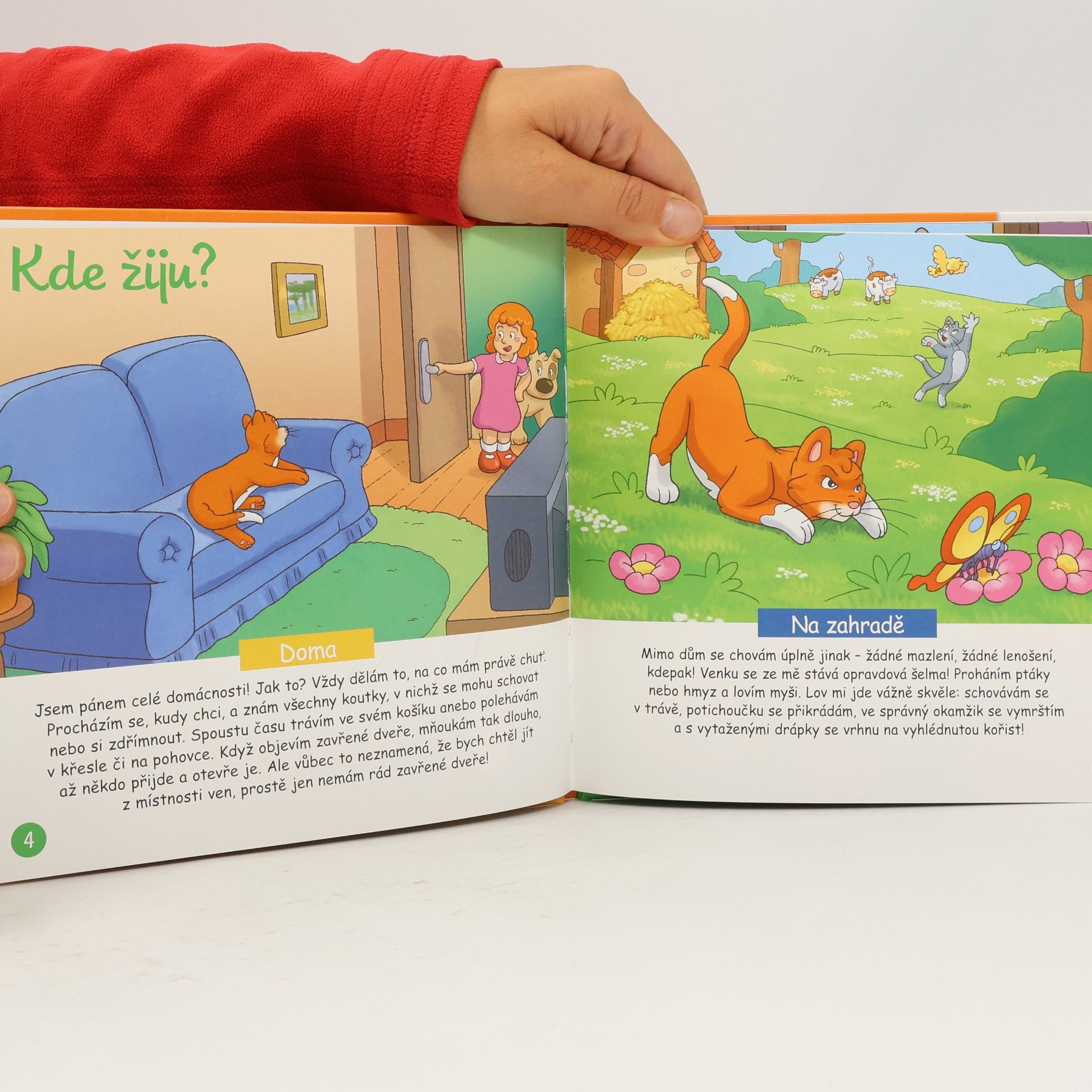 Autorenkollektiv Na dvorku 14. Kocour