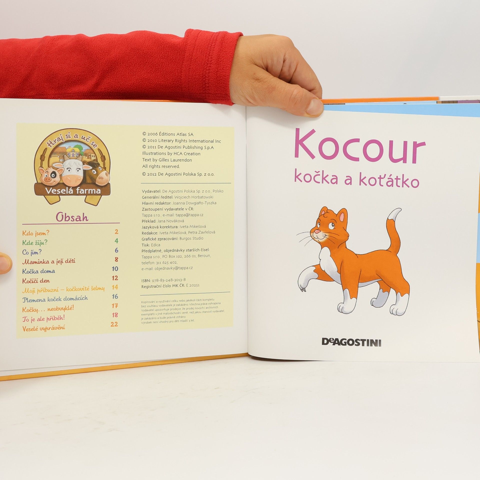 Autorenkollektiv Na dvorku 14. Kocour