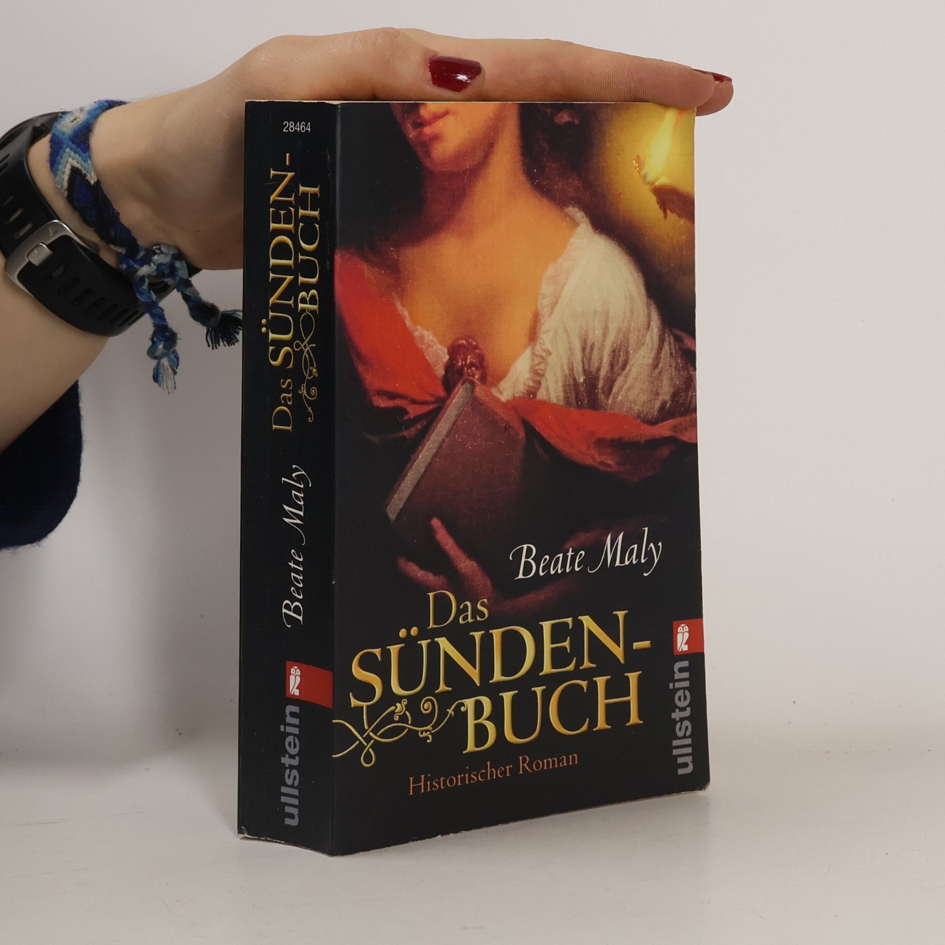 Das Sündenbuch