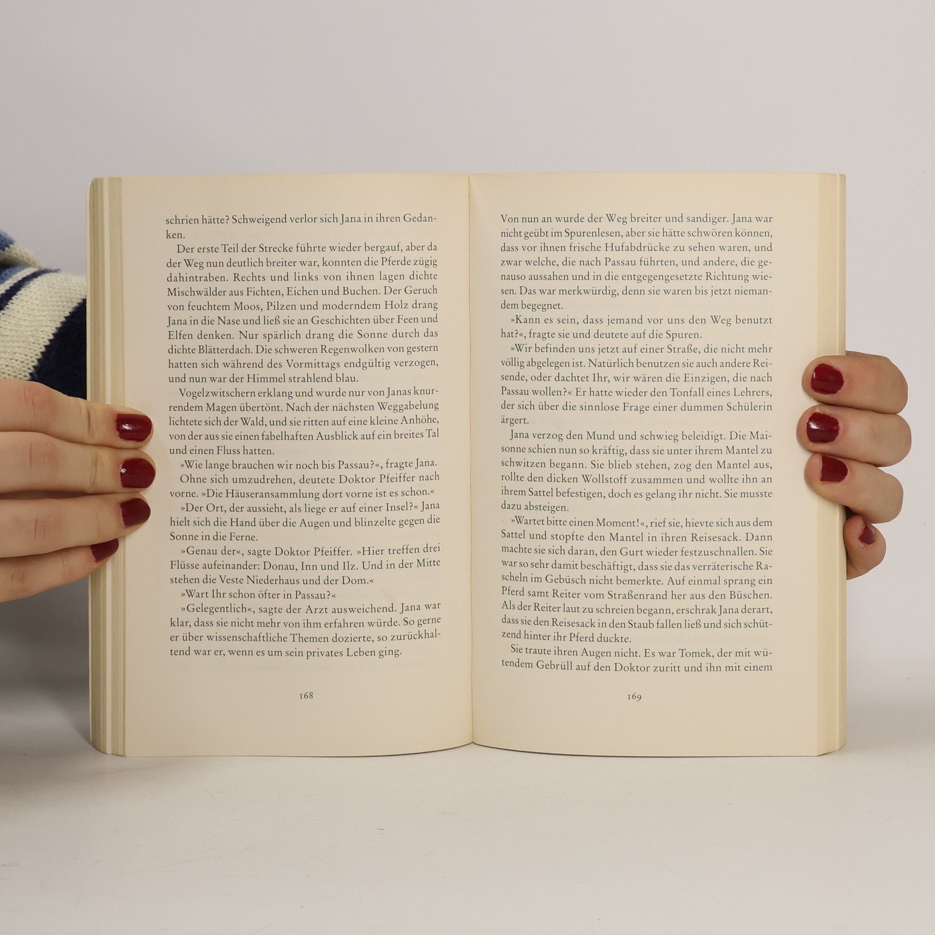 Beate Maly Das Sündenbuch