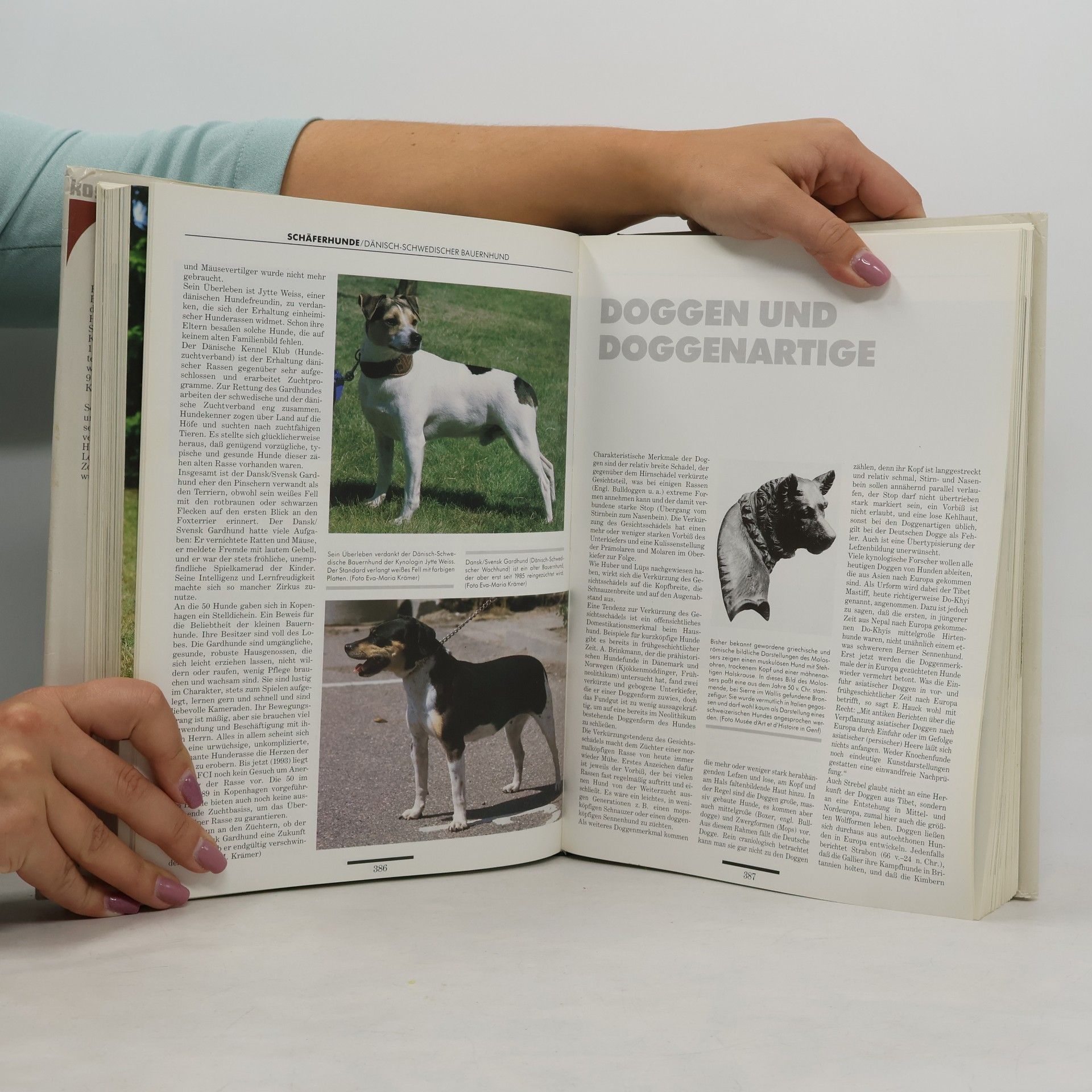 Enzyklopädie der Rassehunde
